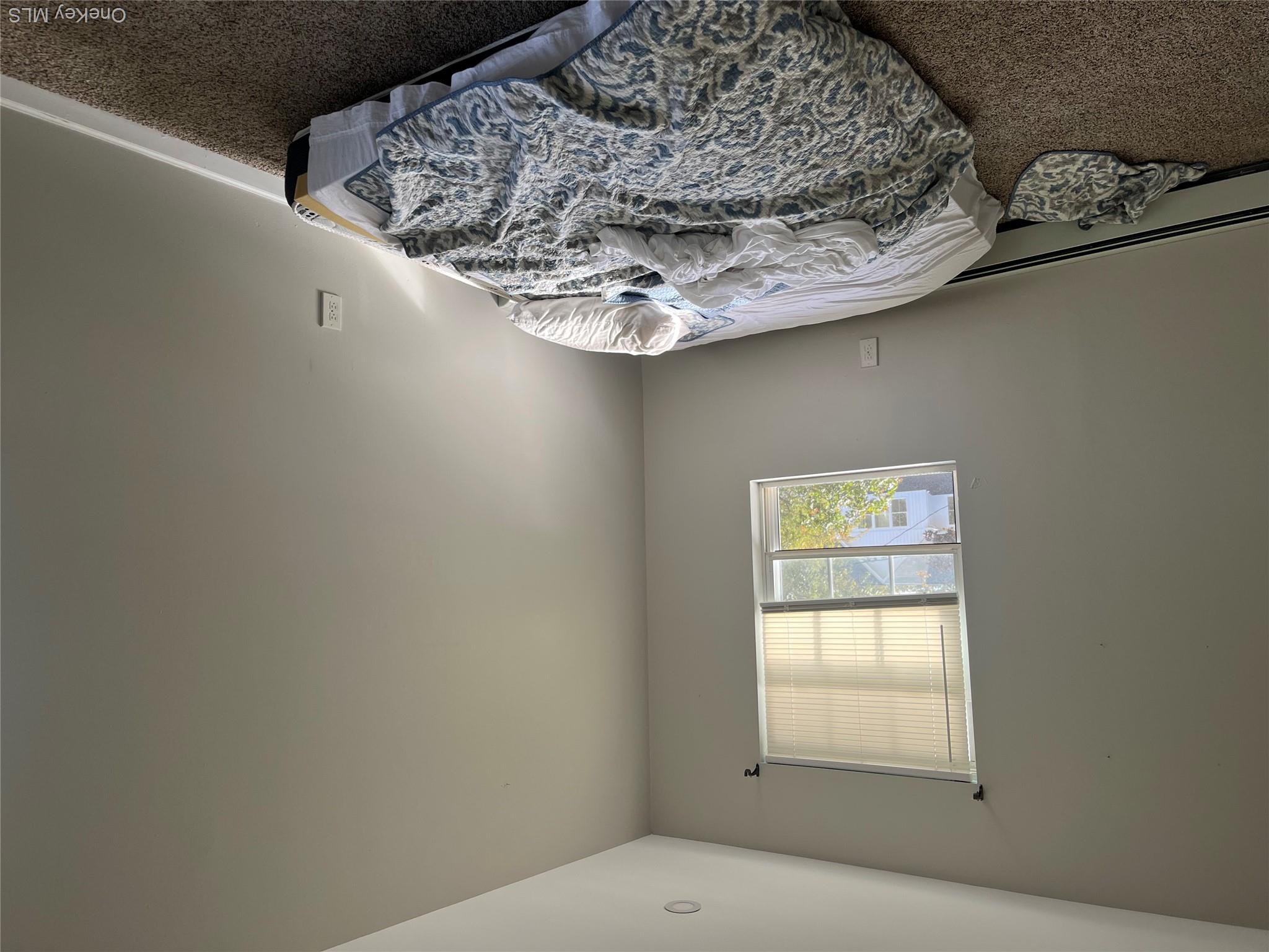 39 Elder Avenue Property Photo 9