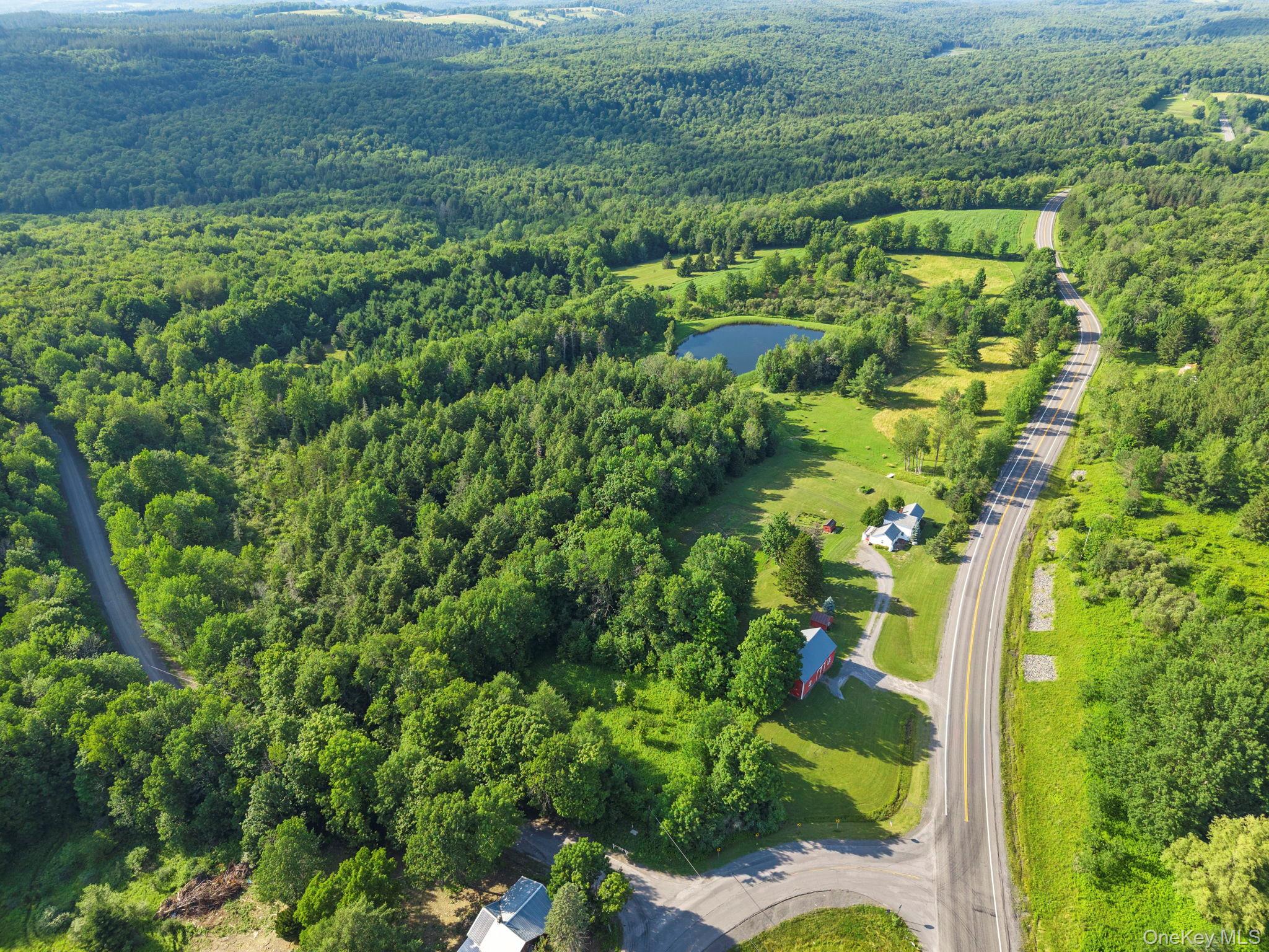1841 State Route 10 Route Property Photo 47