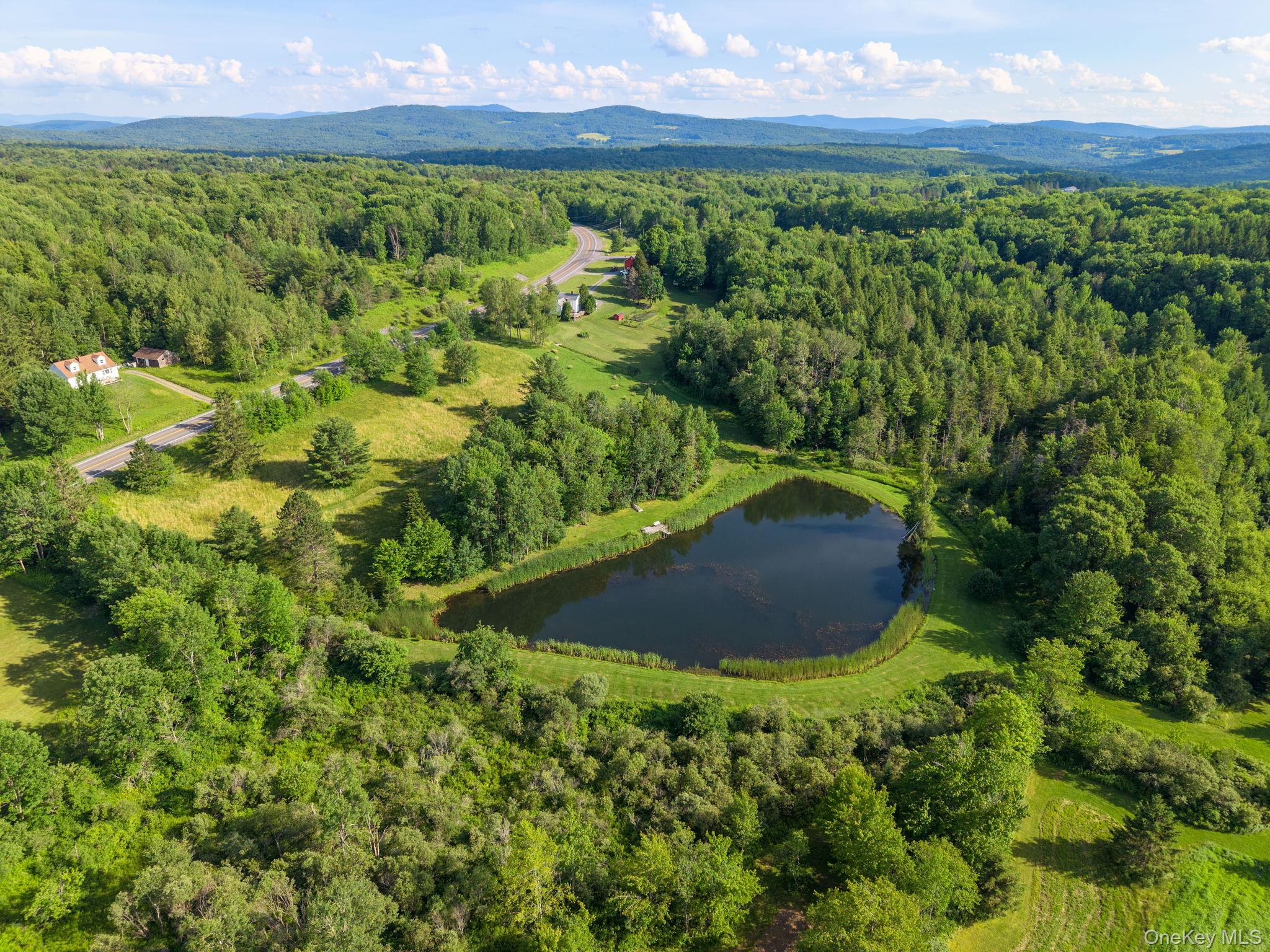 1841 State Route 10 Route Property Photo 48