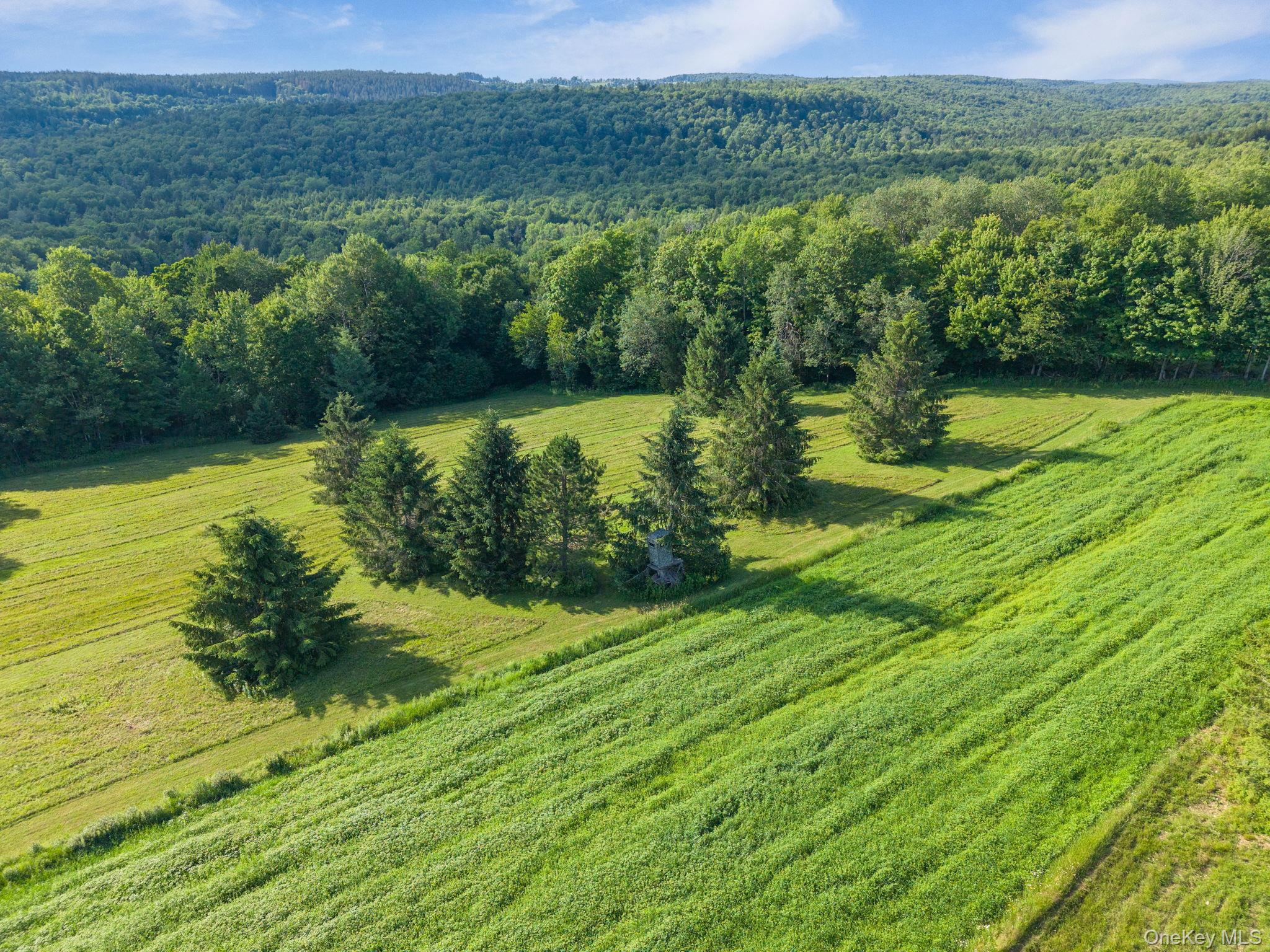 1841 State Route 10 Route Property Photo 50