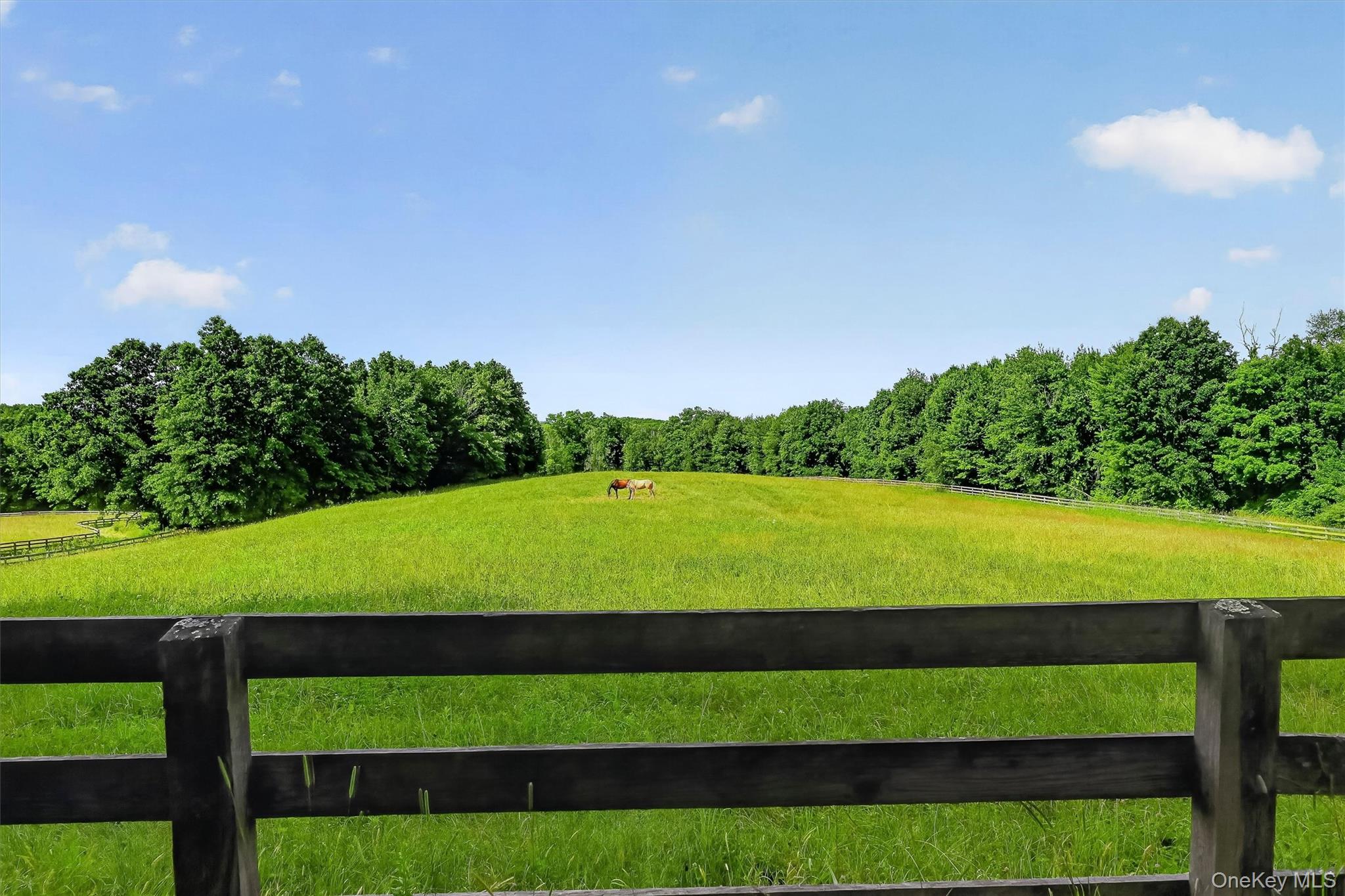 123 Collabar Road Property Photo 40