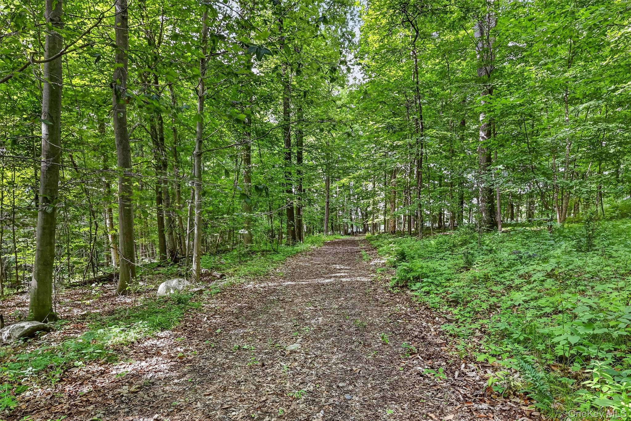 123 Collabar Road Property Photo 49