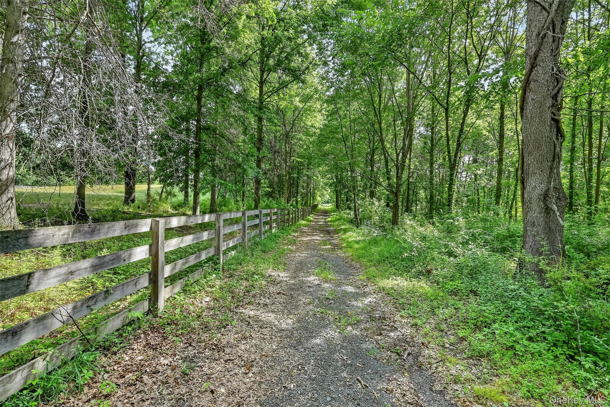 123 Collabar Road Property Photo 50