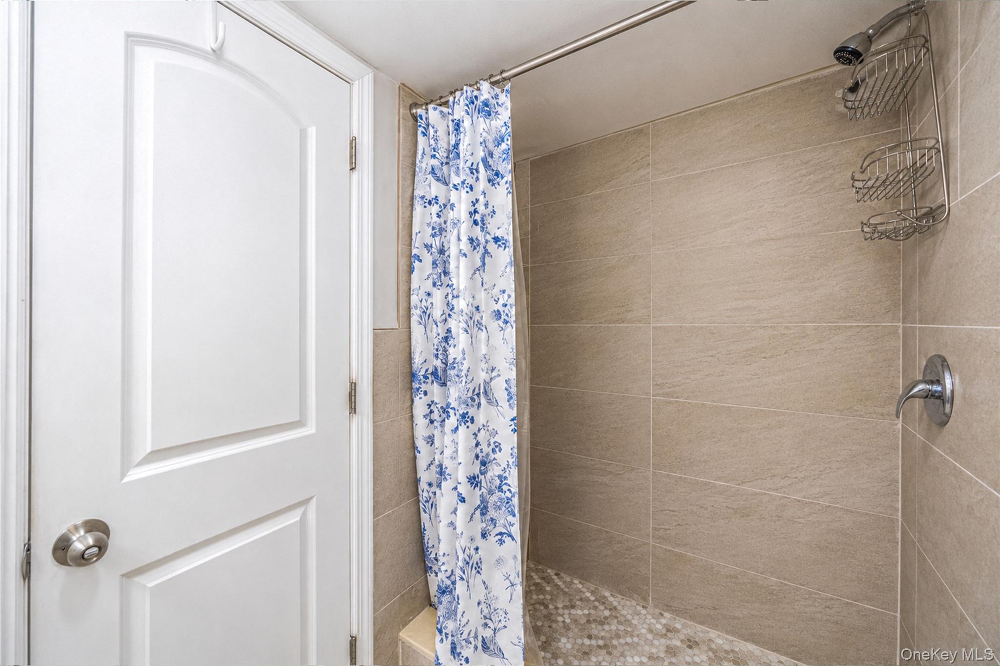 188 Frederick Avenue Property Photo 24