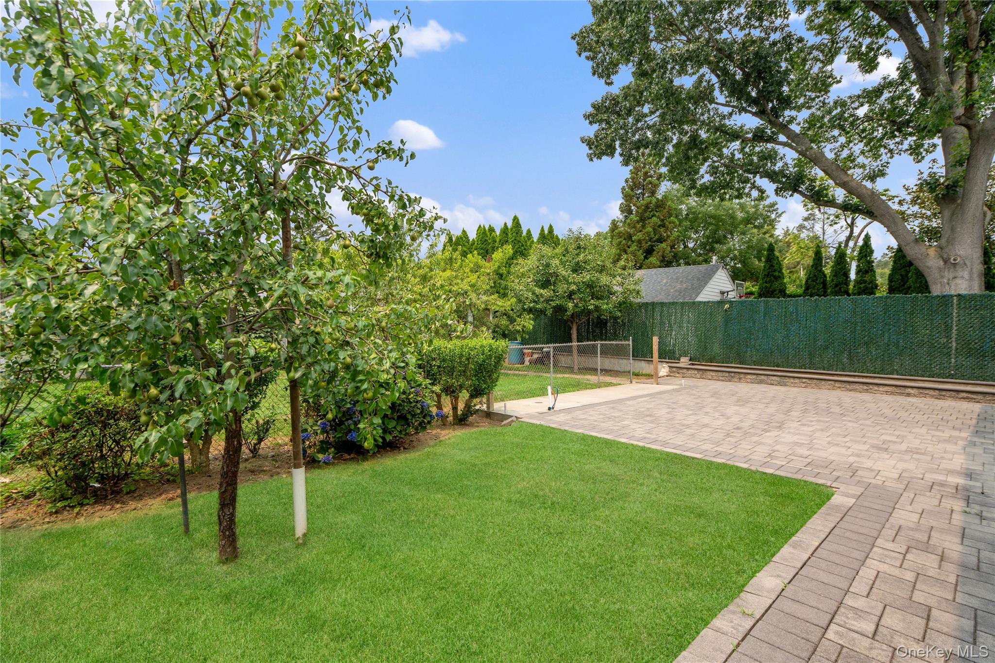 19 Chestnut Street Property Photo 18