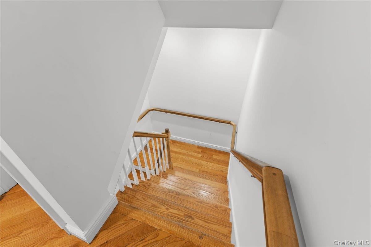 11a Forest Lane Property Photo 28