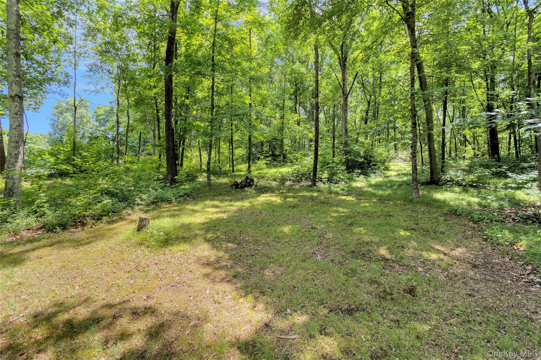 577 Wood Road Property Photo 14