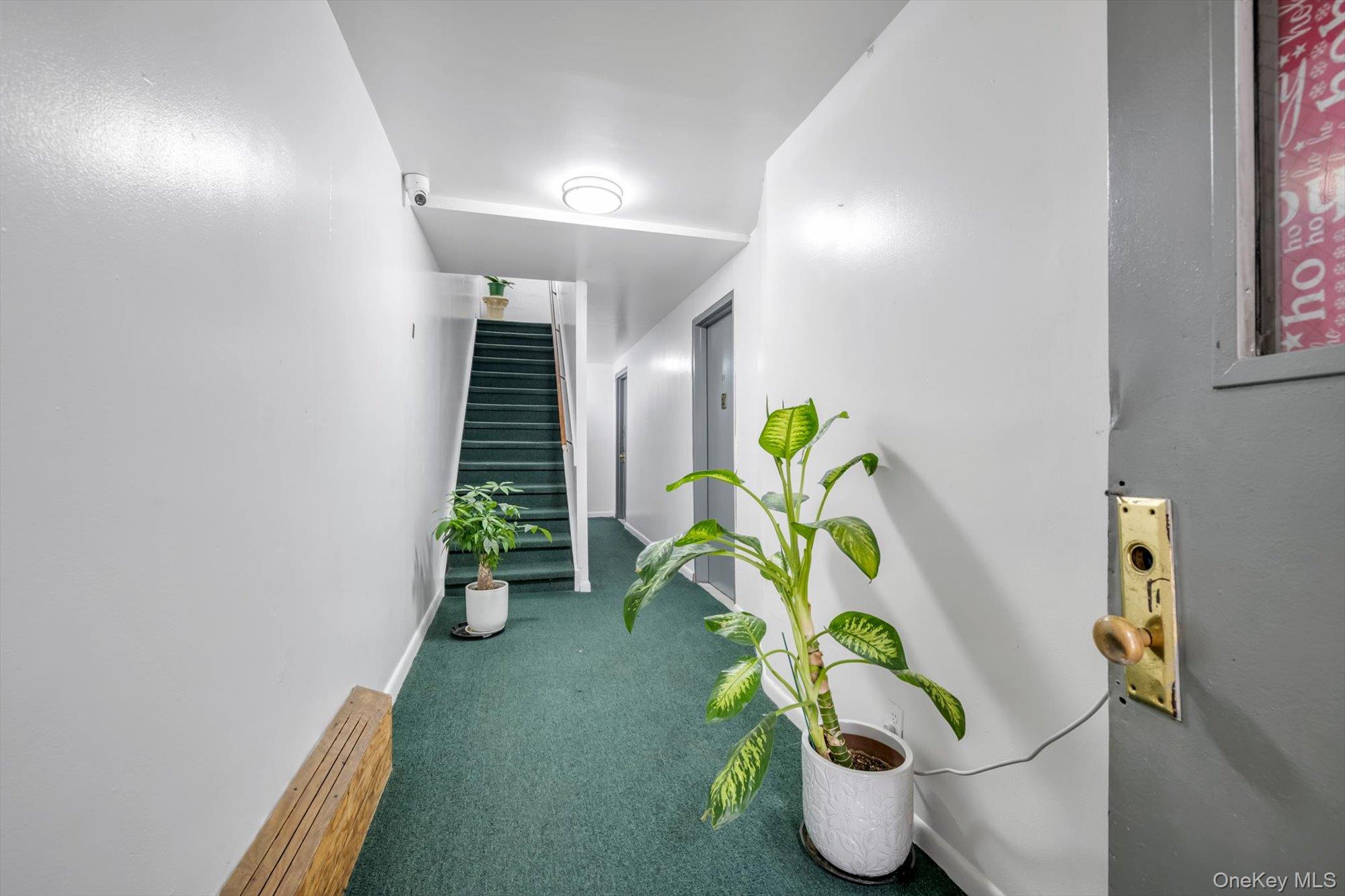 5337 97th Street Property Photo 2