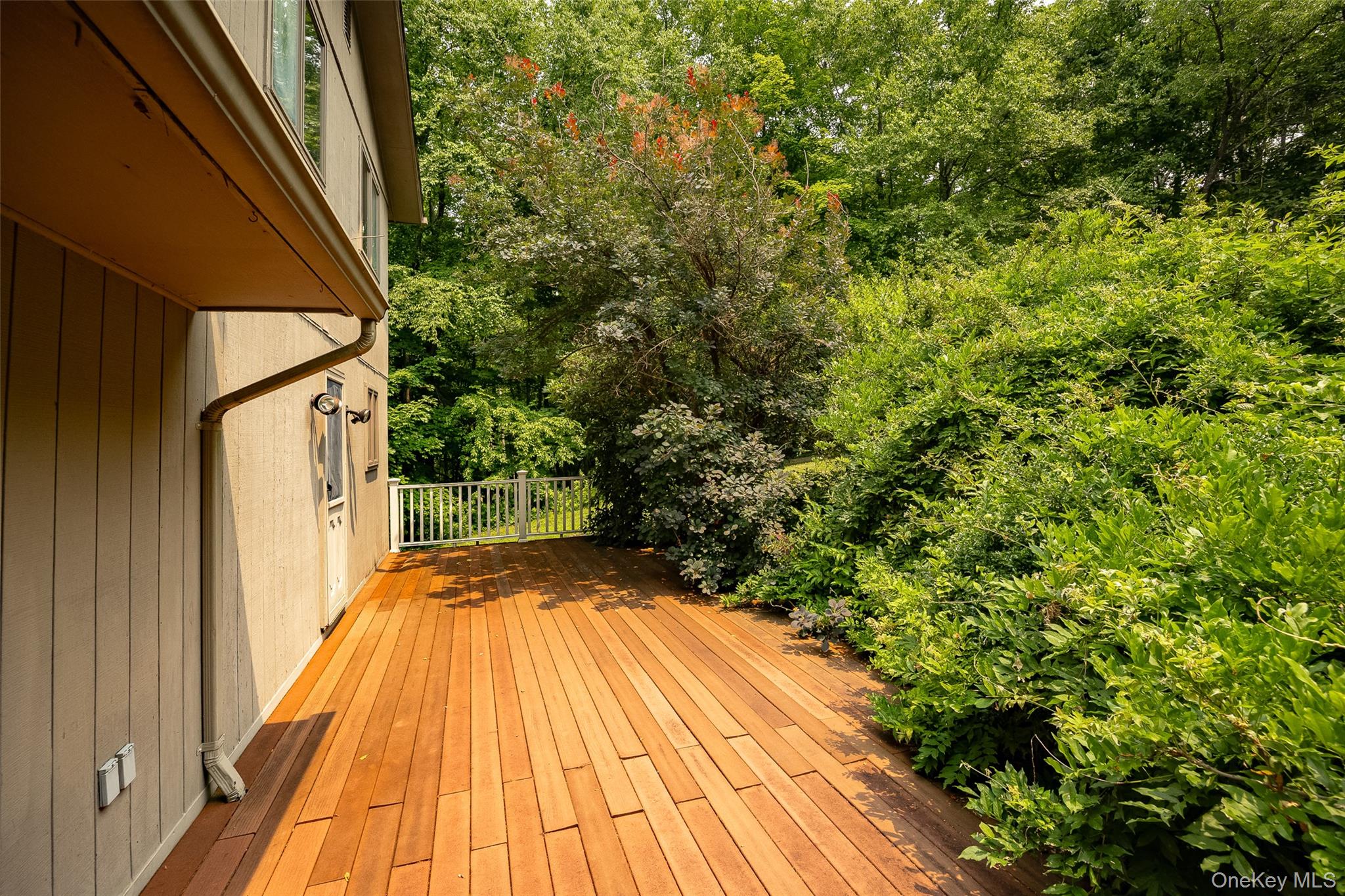 185 White Pond Road Property Photo 20