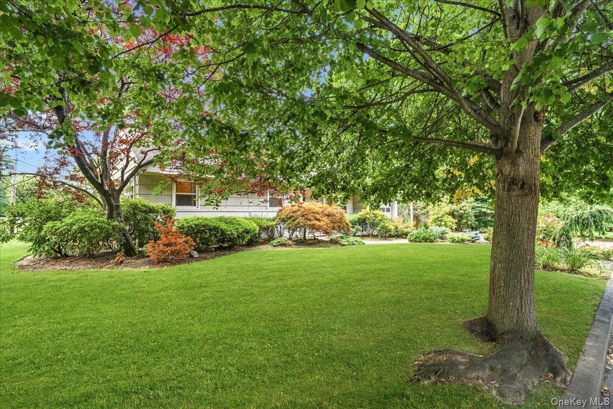 2154 Marion Avenue Property Photo 23