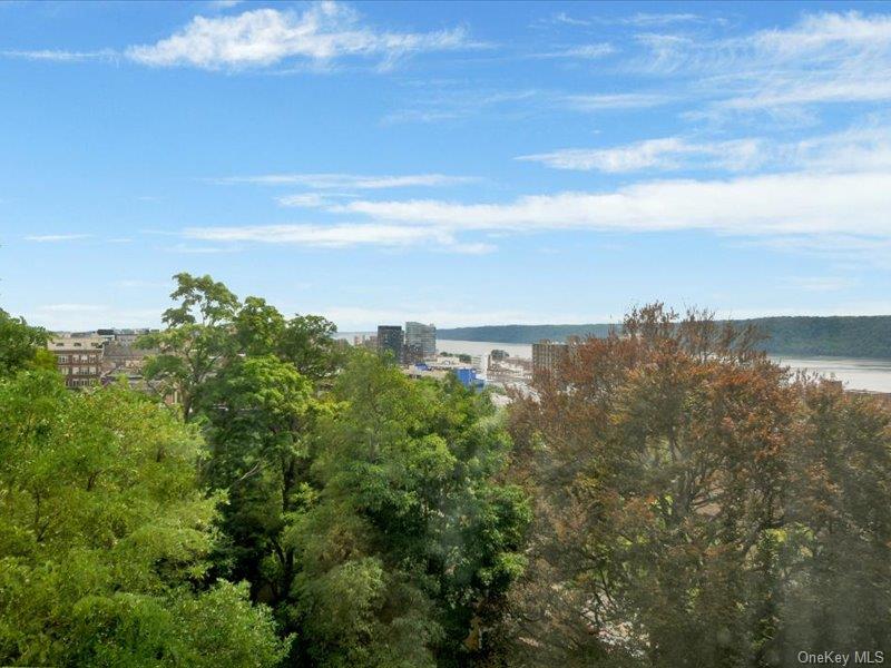 270 N Broadway 6h Property Photo 19