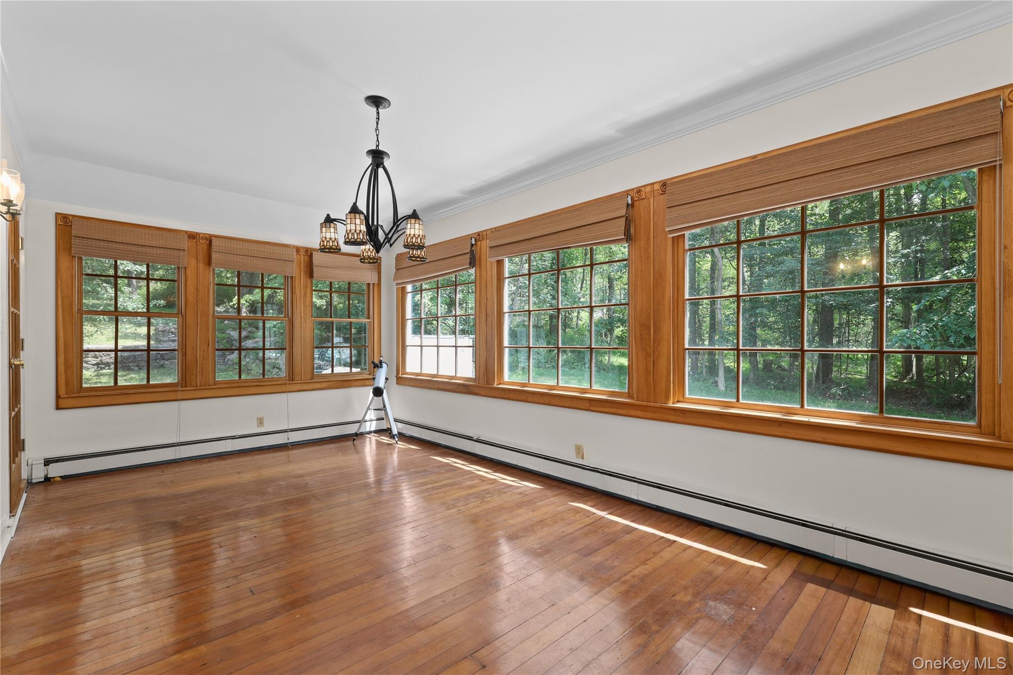 58 Belden Road Property Photo 12