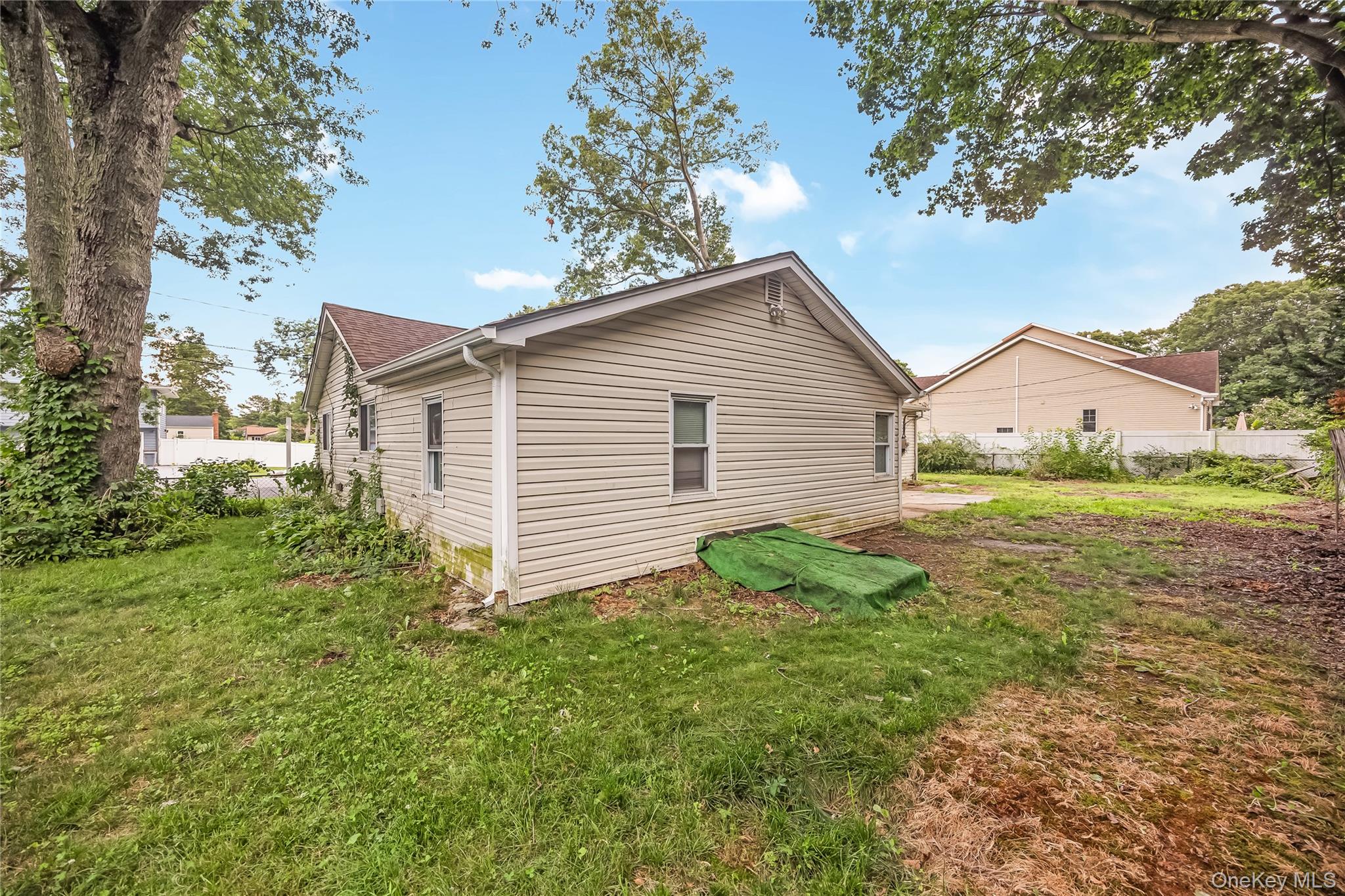 20 Buchanan Avenue Property Photo 18