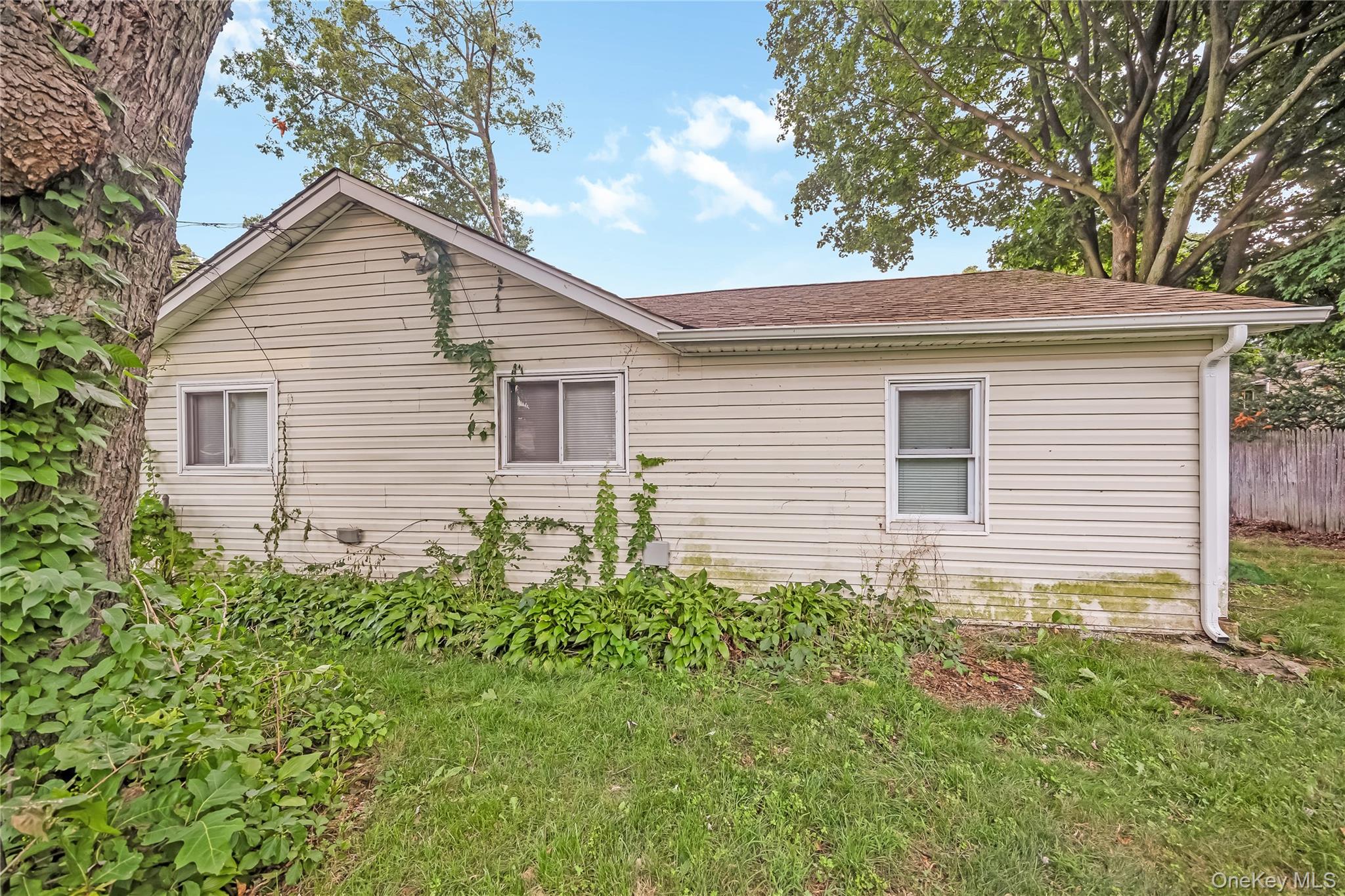 20 Buchanan Avenue Property Photo 19