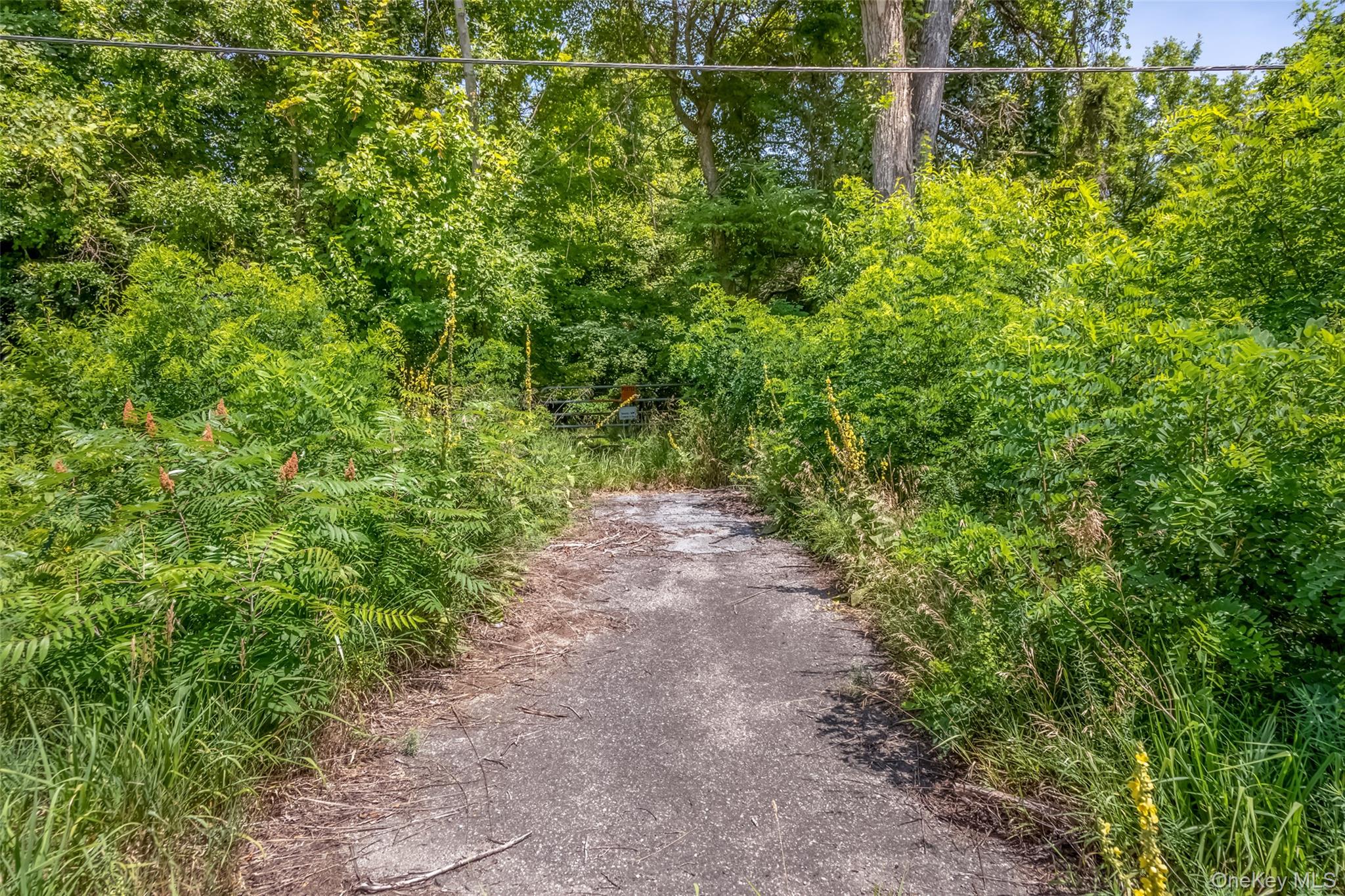 #17k Ns Rt-17k Route Property Photo 12
