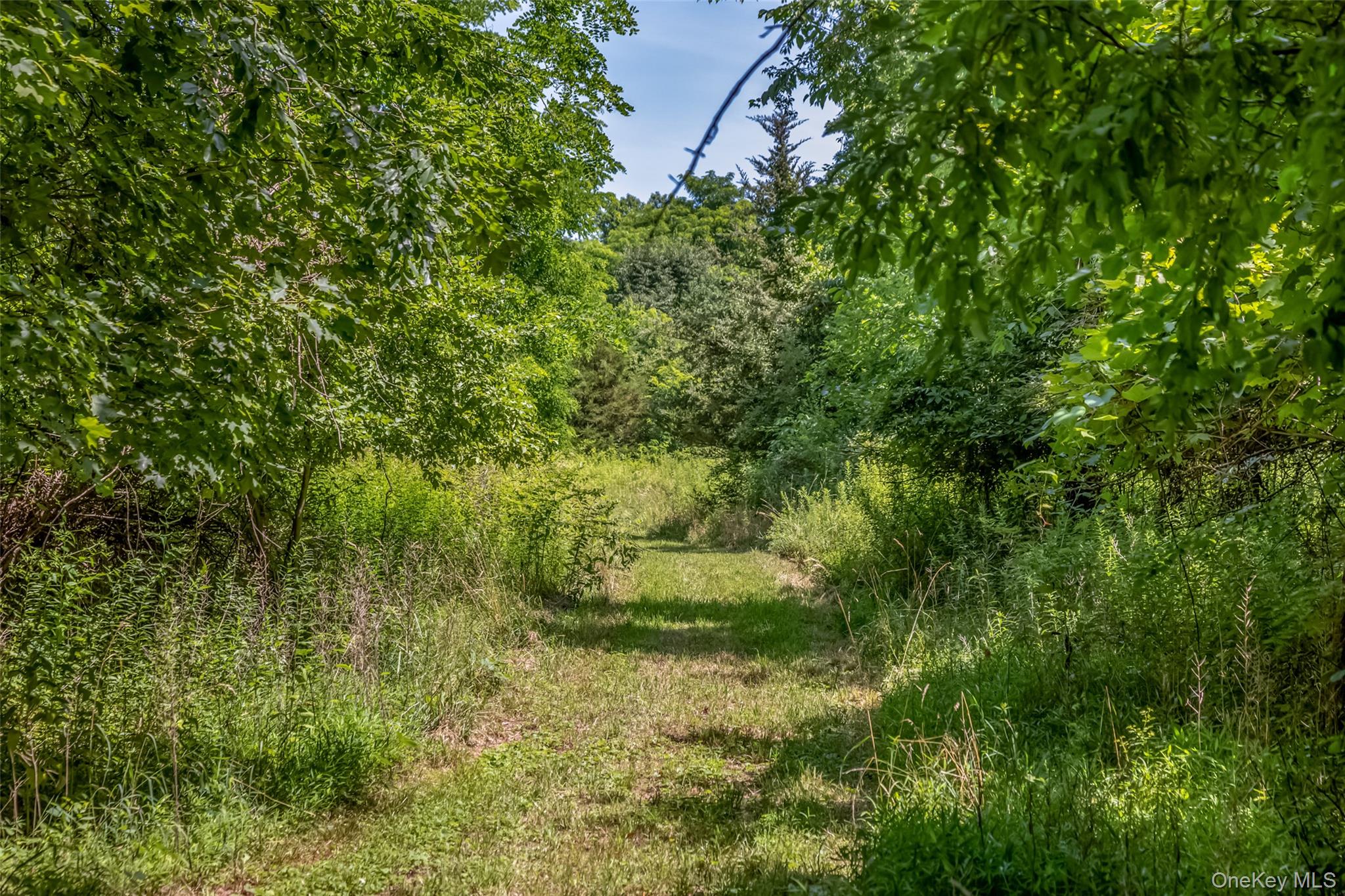 #17k Ns Rt-17k Route Property Photo 14