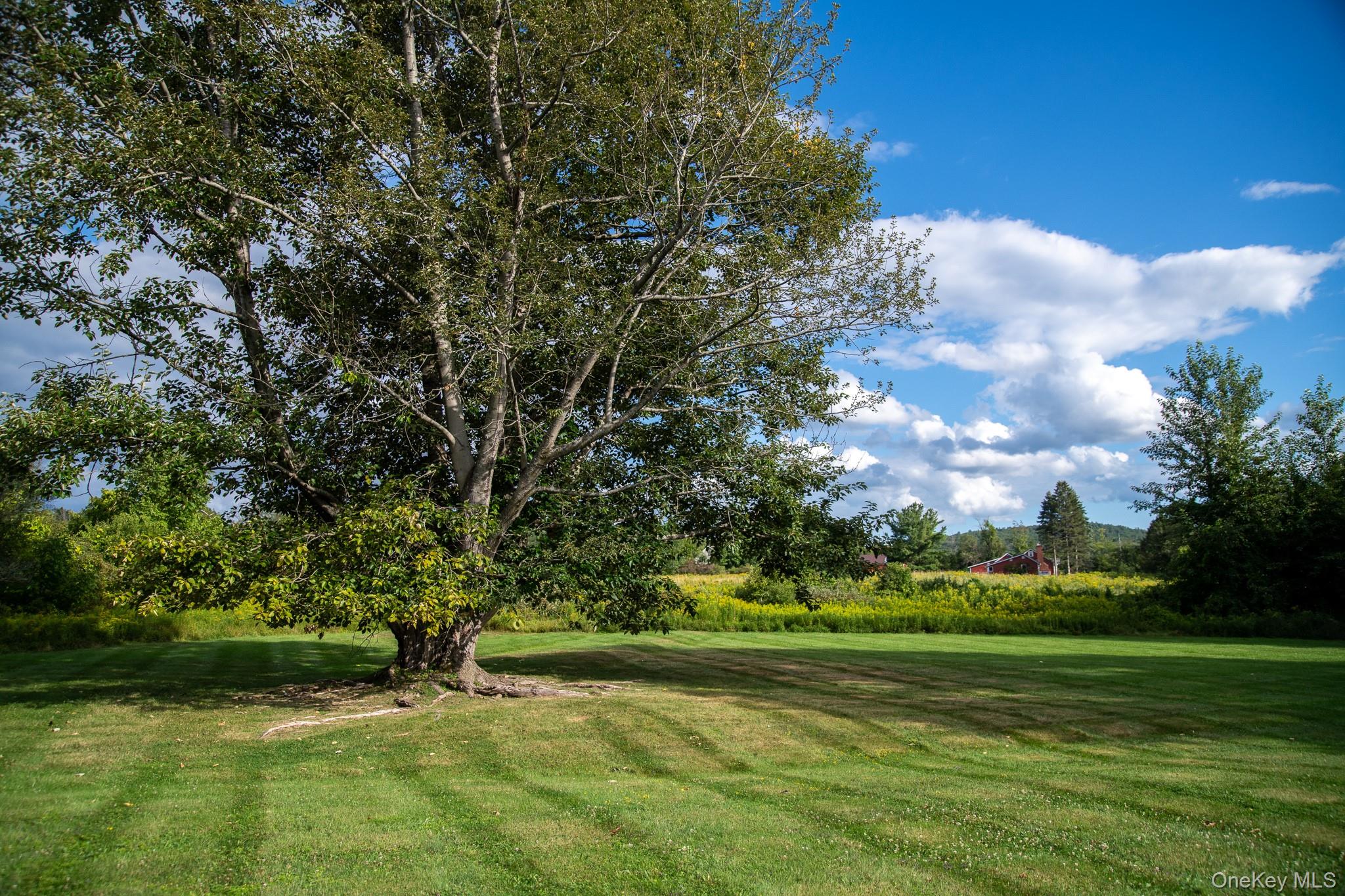 314 Schoolhouse Road Property Photo 6