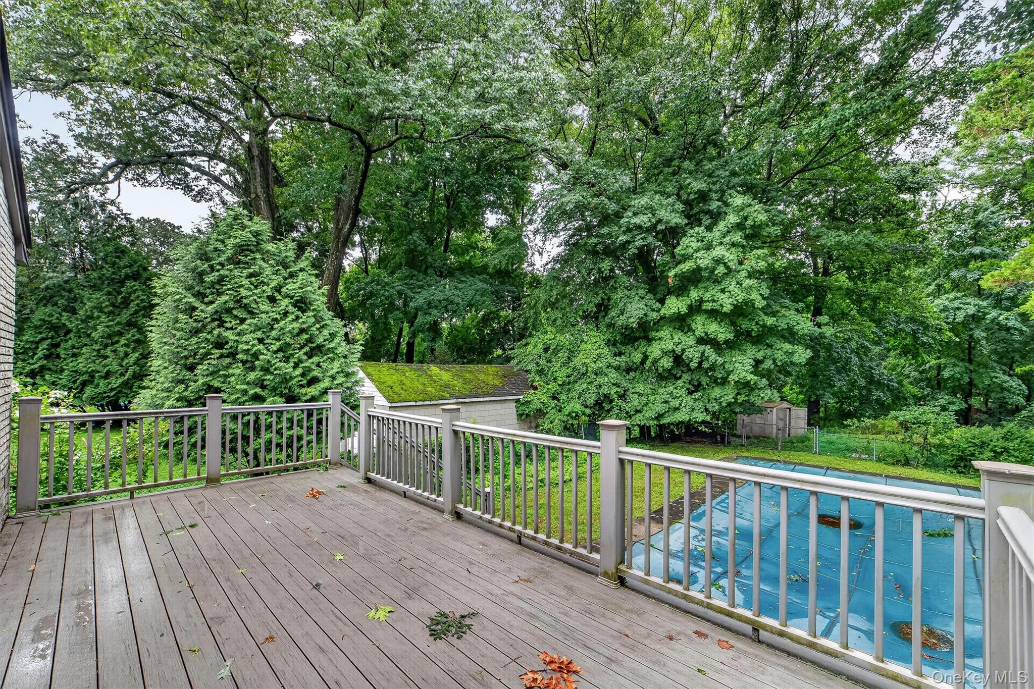 31 Elmore Avenue Property Photo 4