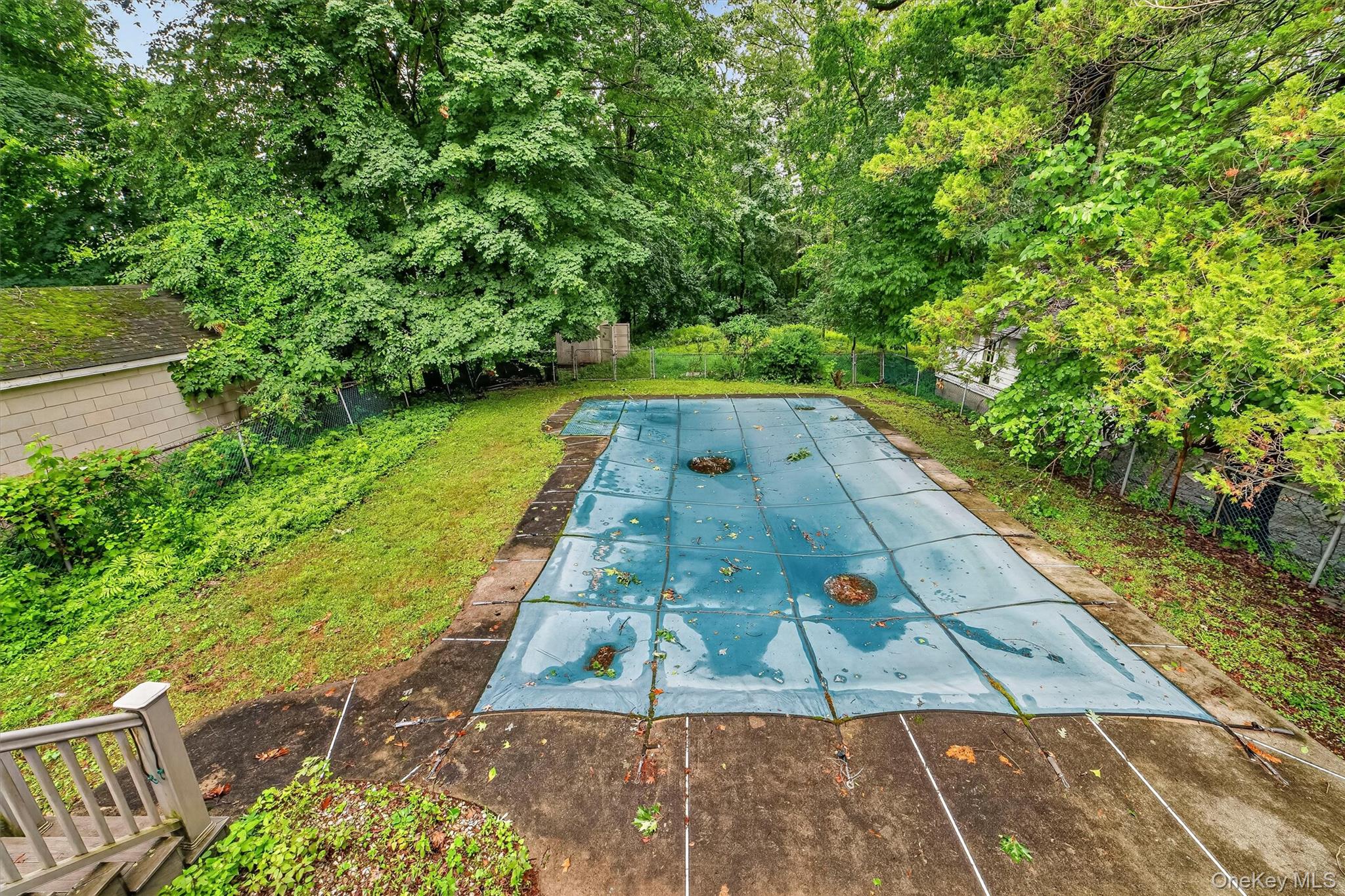 31 Elmore Avenue Property Photo 5