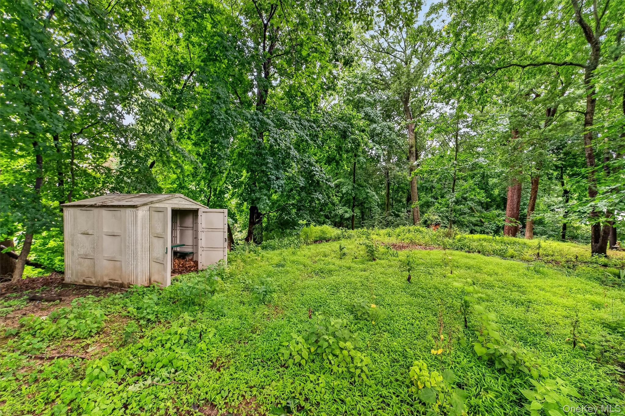 31 Elmore Avenue Property Photo 6