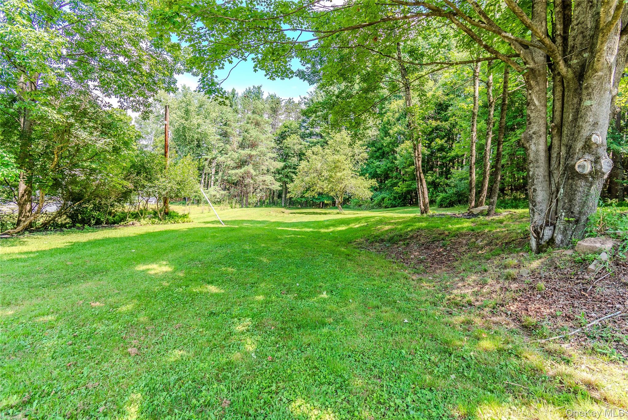 63 Cape Road Property Photo 41