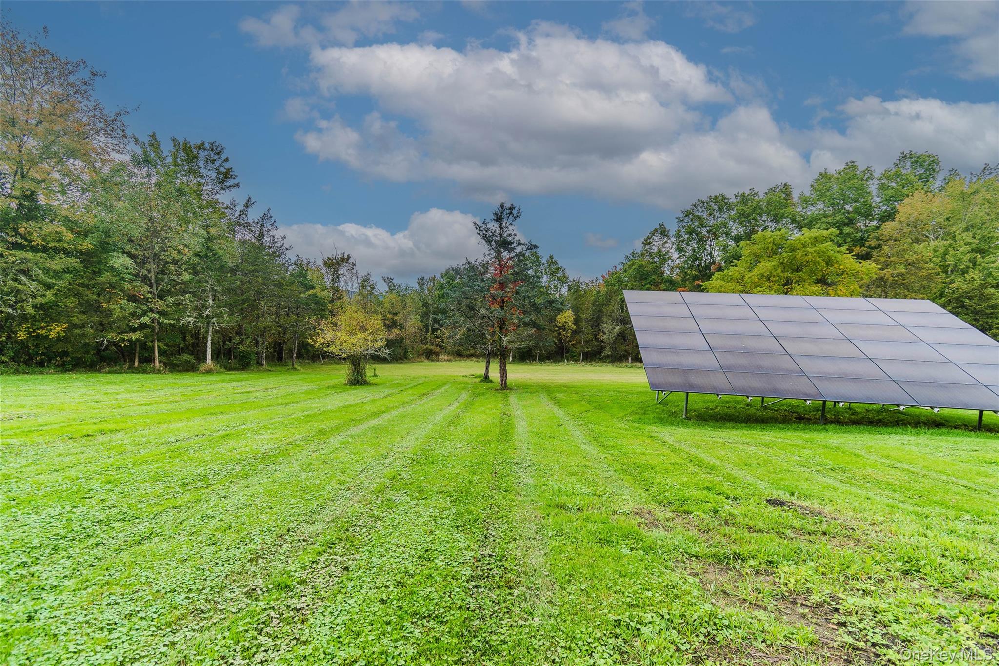 228 Bruynswick Road Property Photo 26