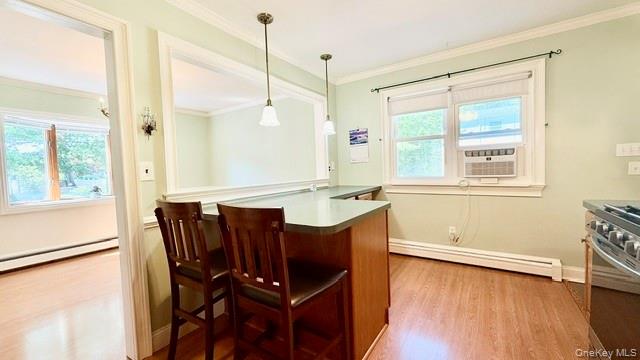 37 Hampton Avenue Property Photo 19