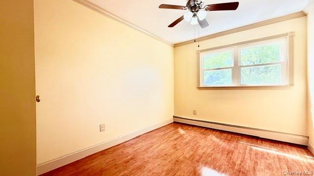 37 Hampton Avenue Property Photo 23