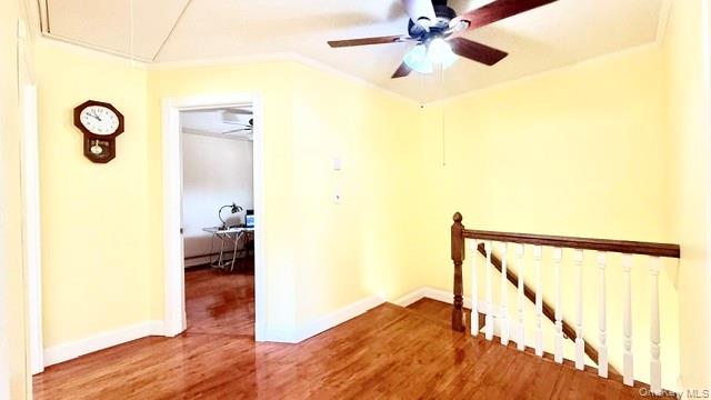 37 Hampton Avenue Property Photo 27