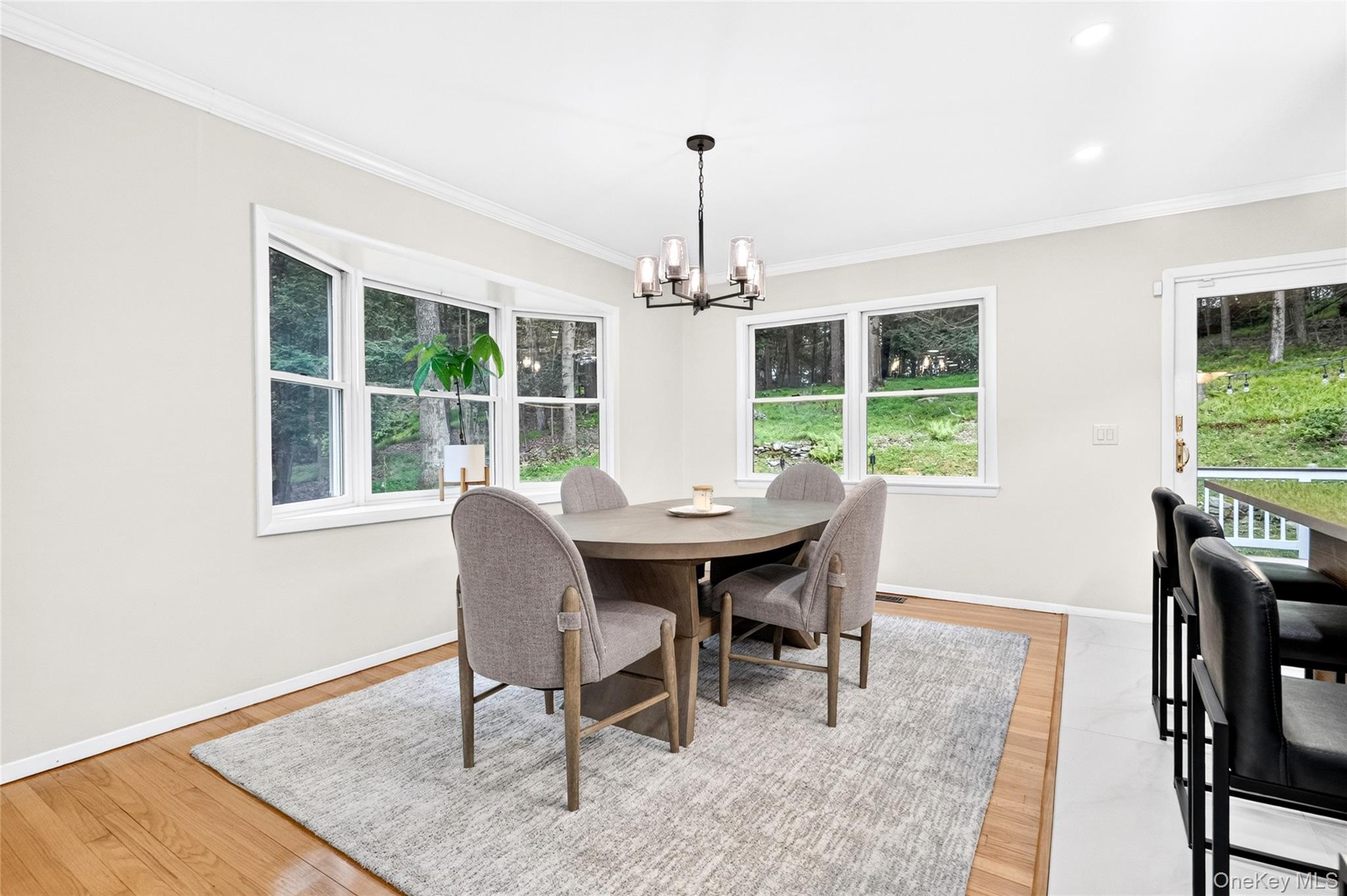 1193 Winding Court Property Photo 18