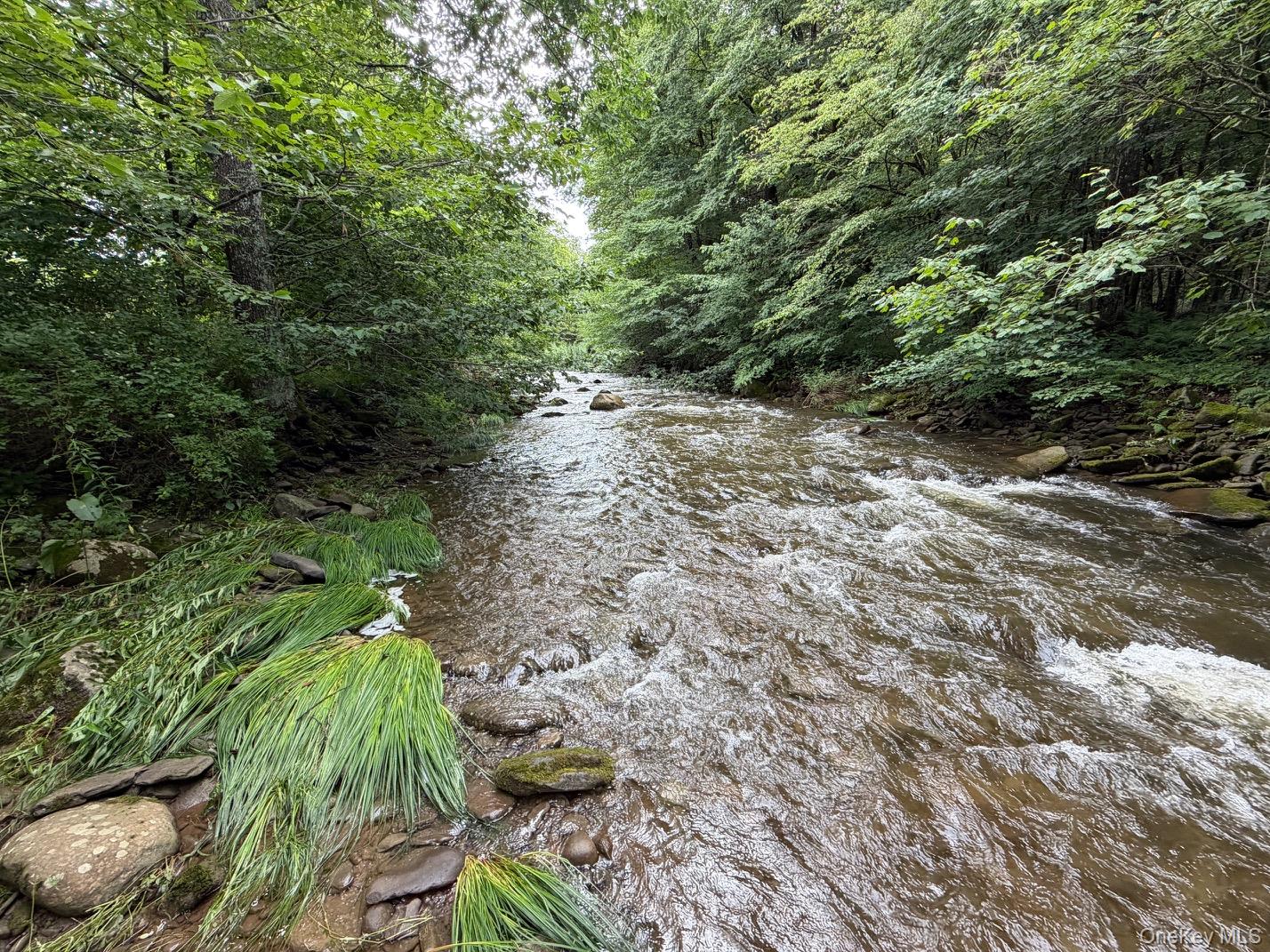 426 Basket Road Property Photo 9