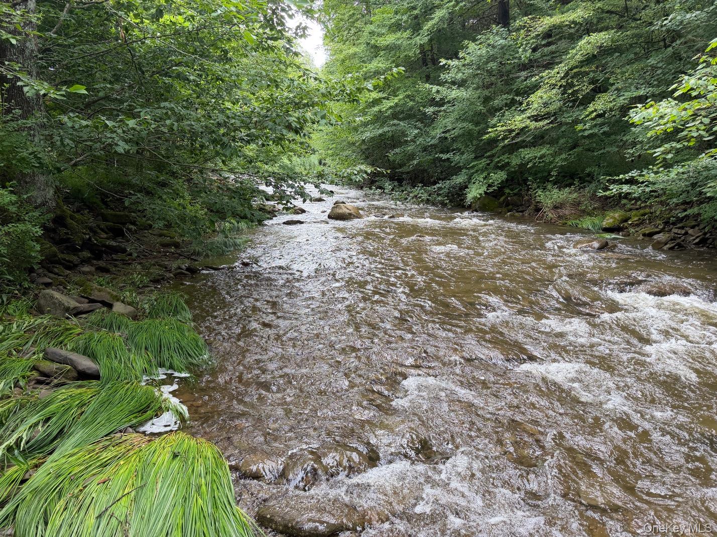 426 Basket Road Property Photo 10