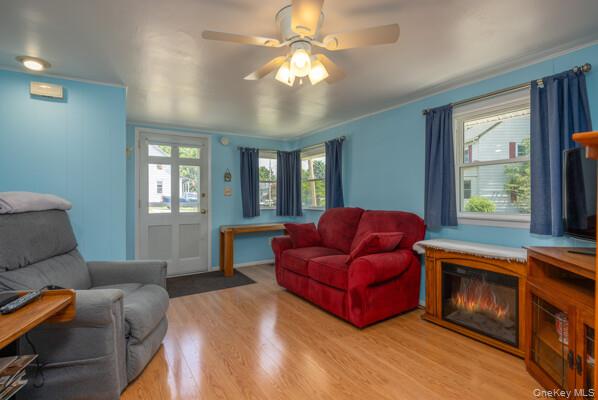 8 Murray Avenue Property Photo 4