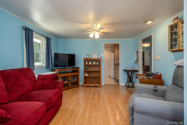 8 Murray Avenue Property Photo 5