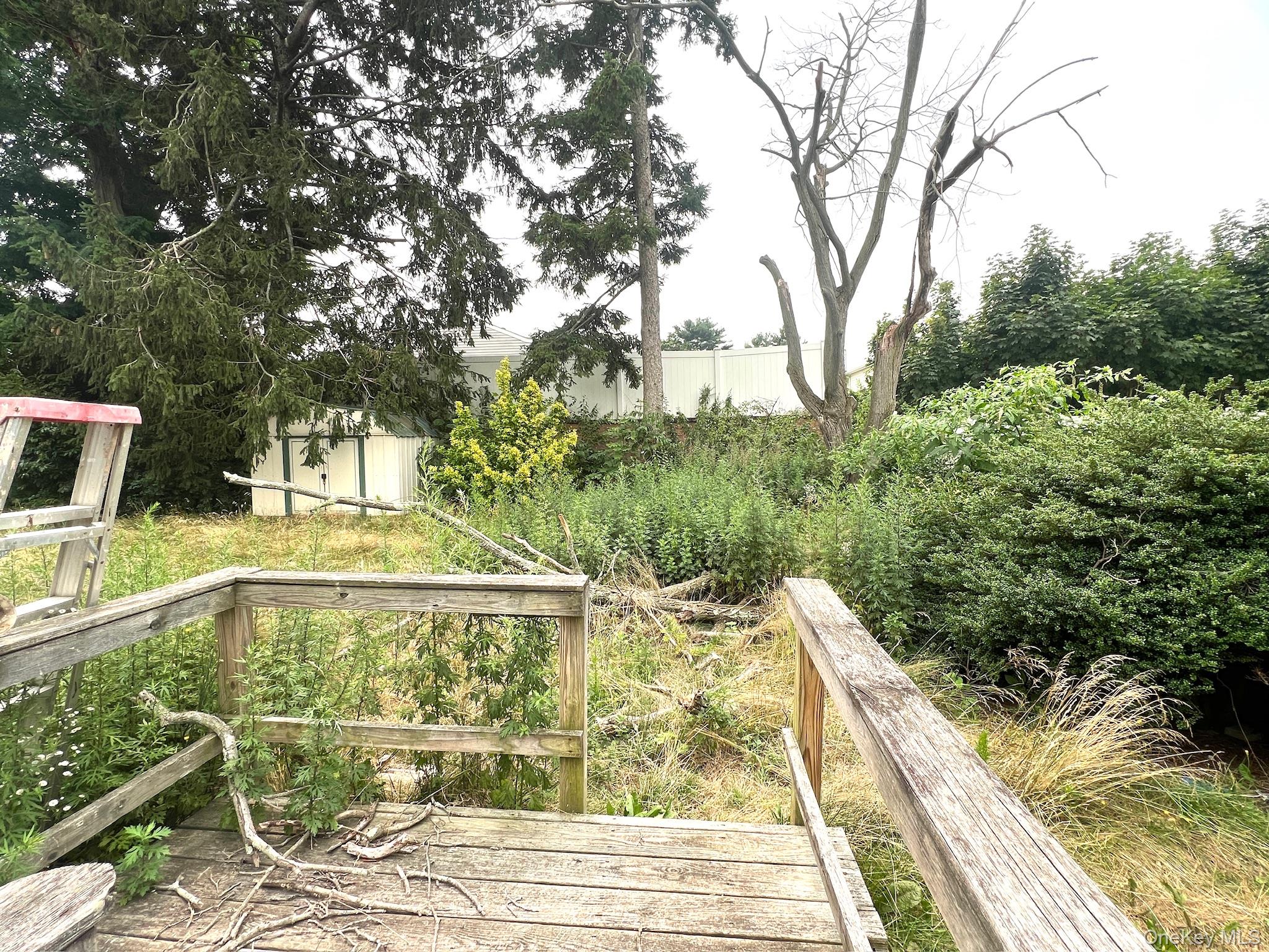 32 Cypress Street Property Photo 11