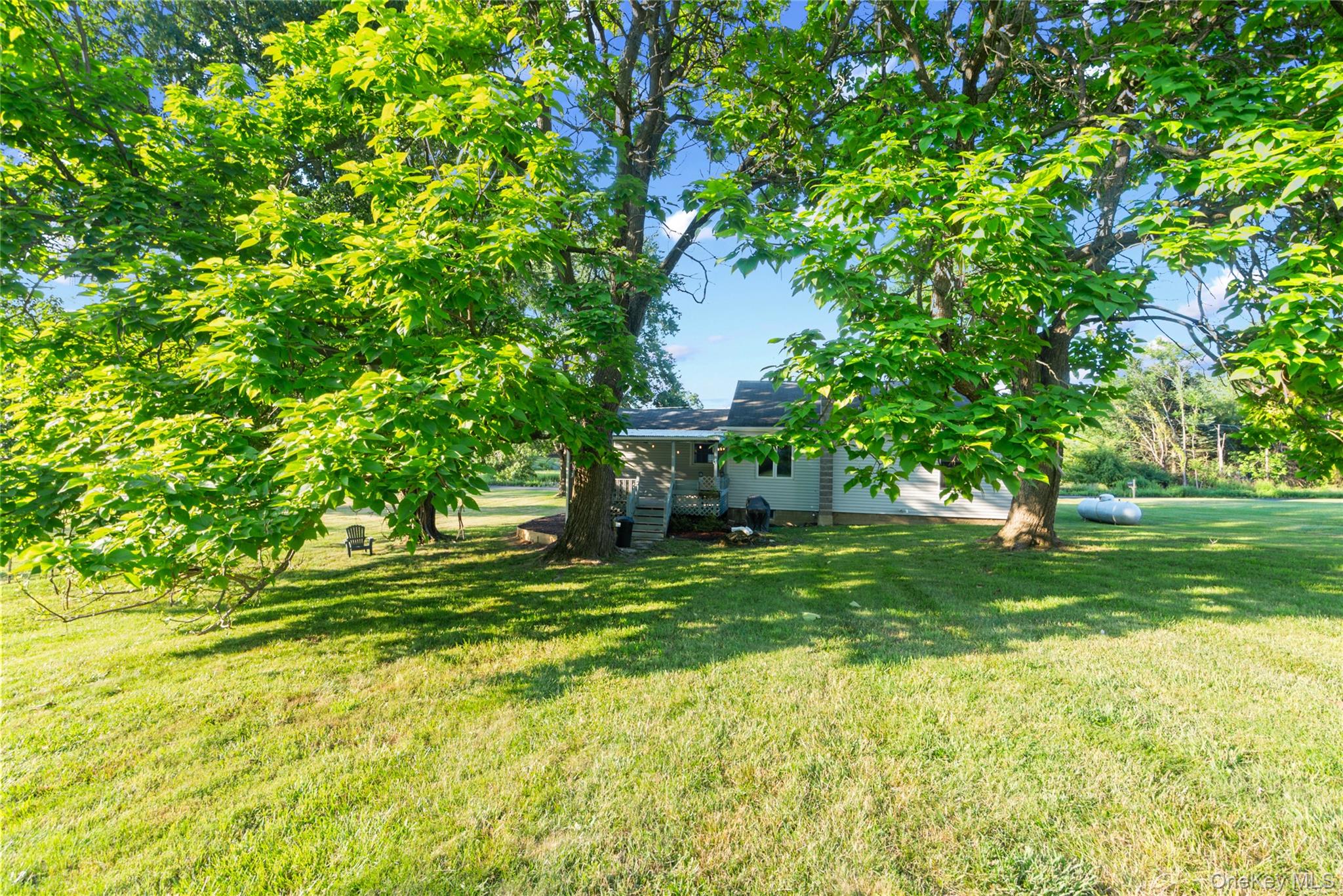 51 Mills Road Property Photo 24