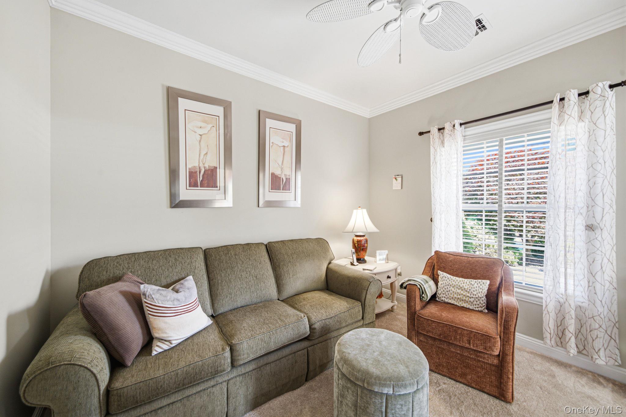 5 Green Ash Street Property Photo 14