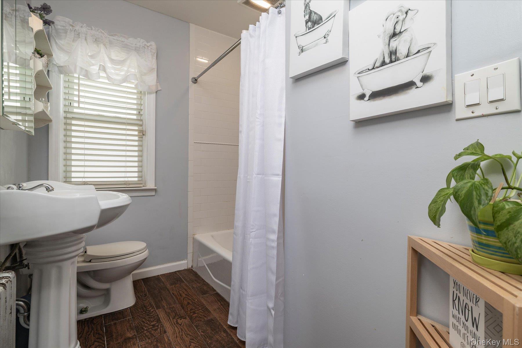 43 Devon Street Property Photo 14