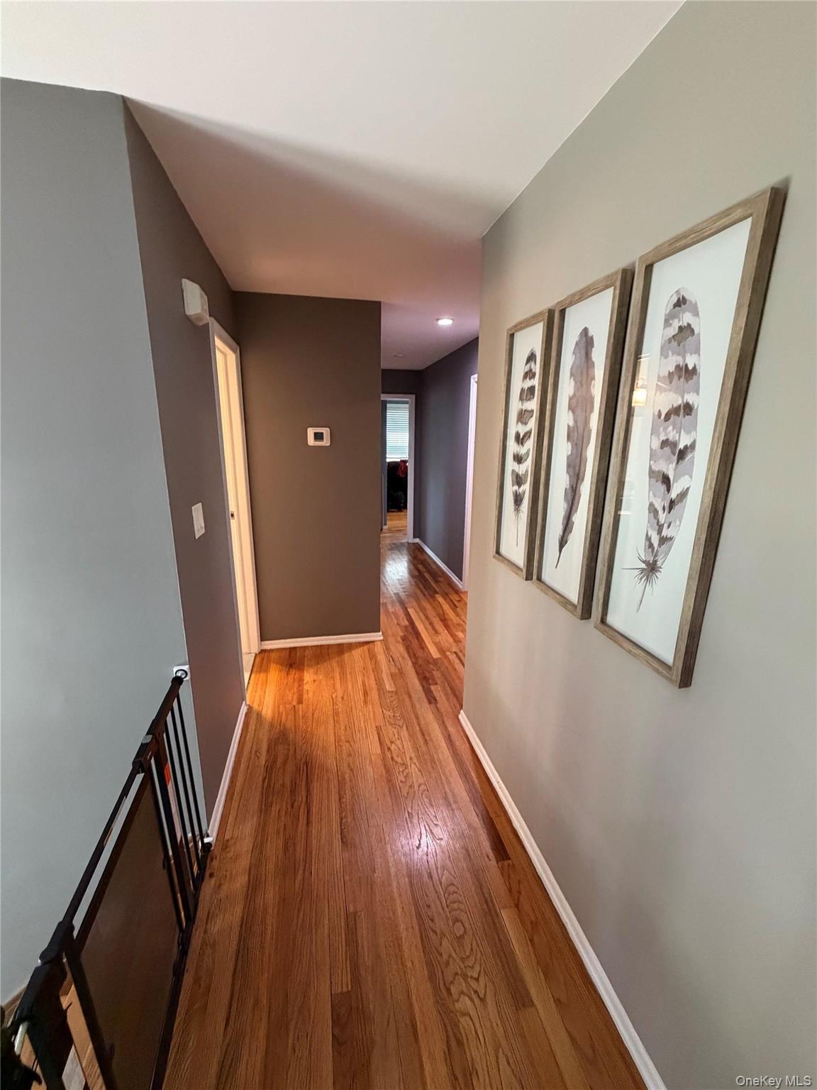 6 Raphael Street Property Photo 22