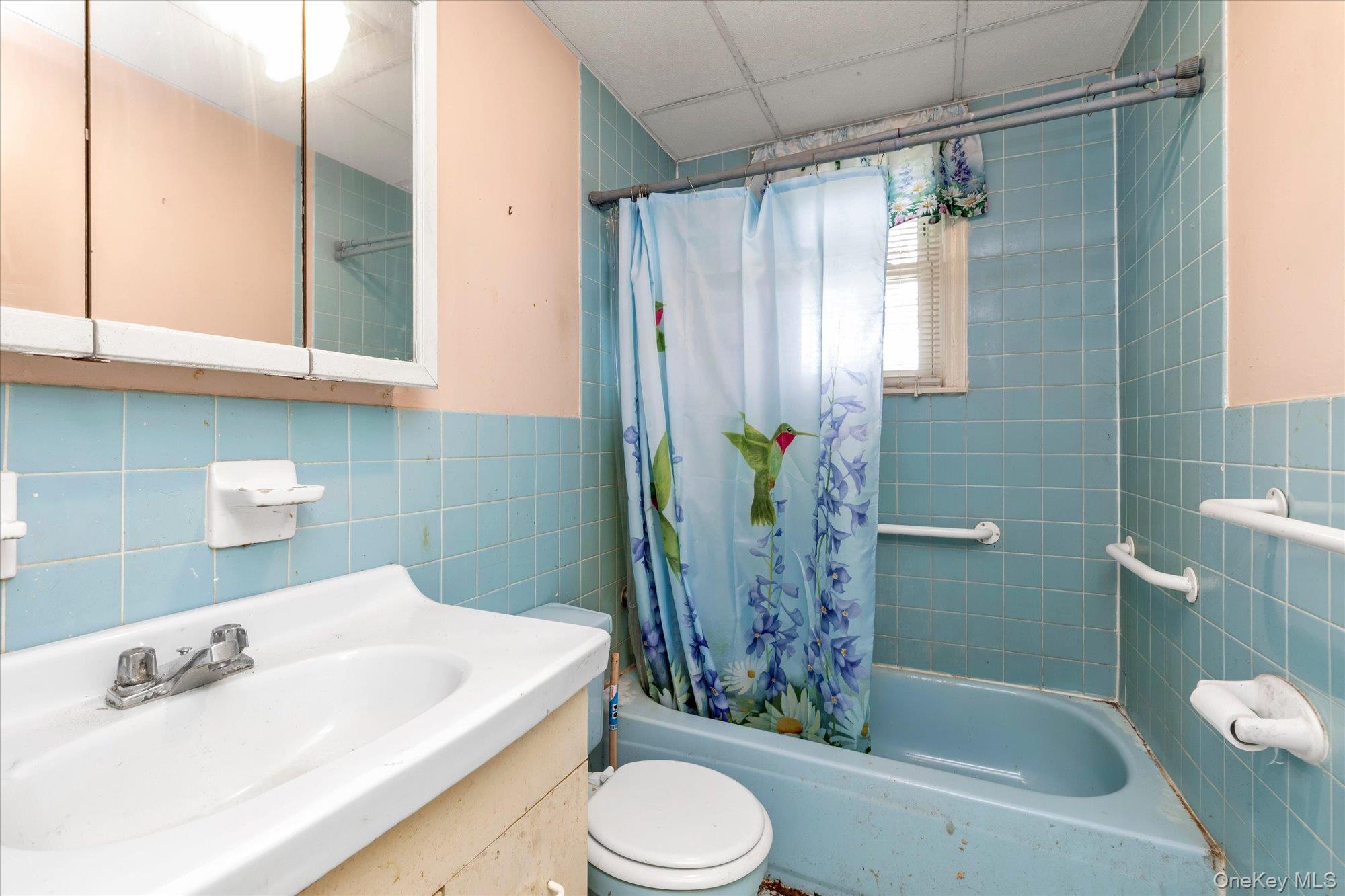 187 Westminster Road Property Photo 11