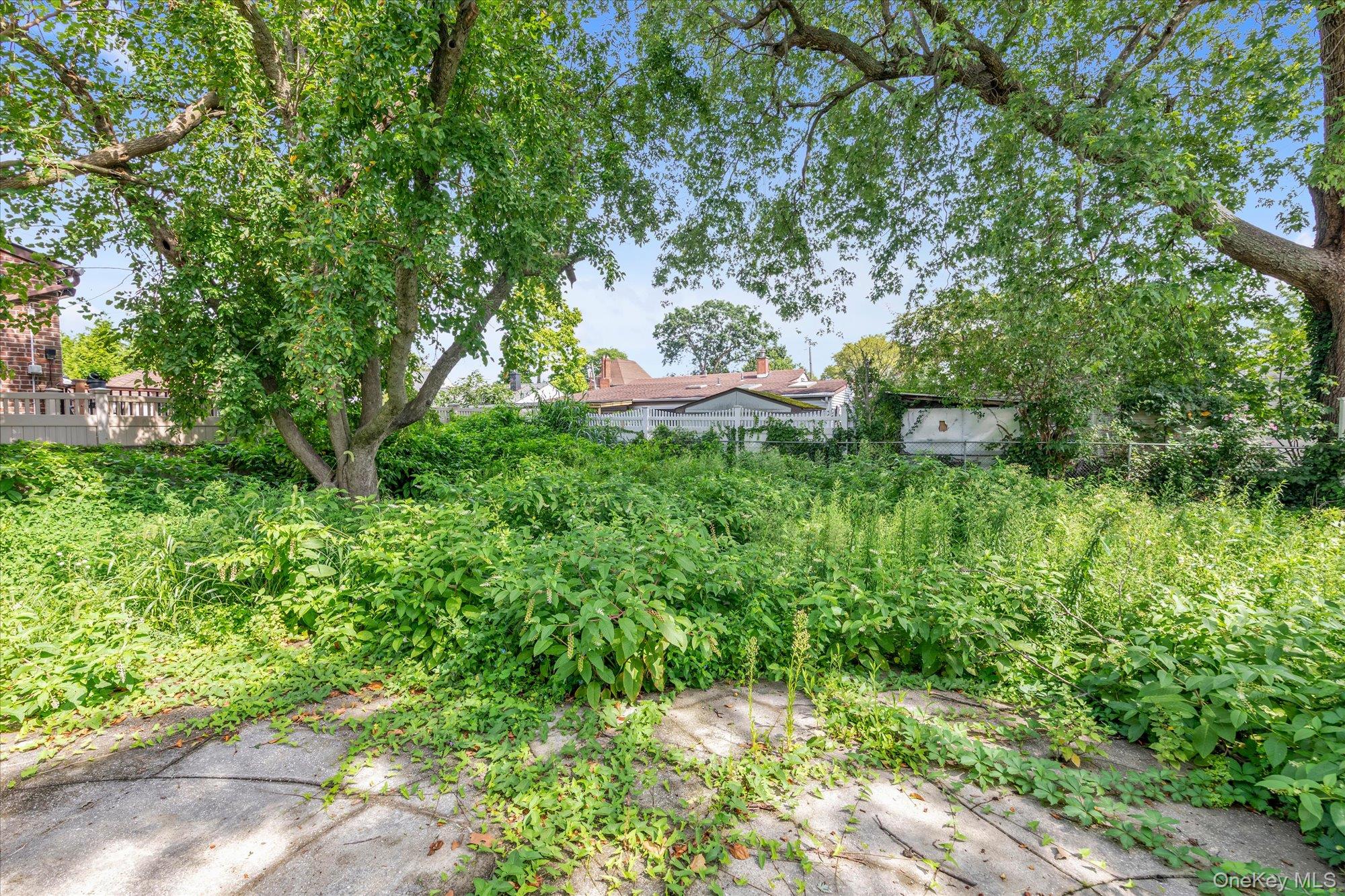 187 Westminster Road Property Photo 15