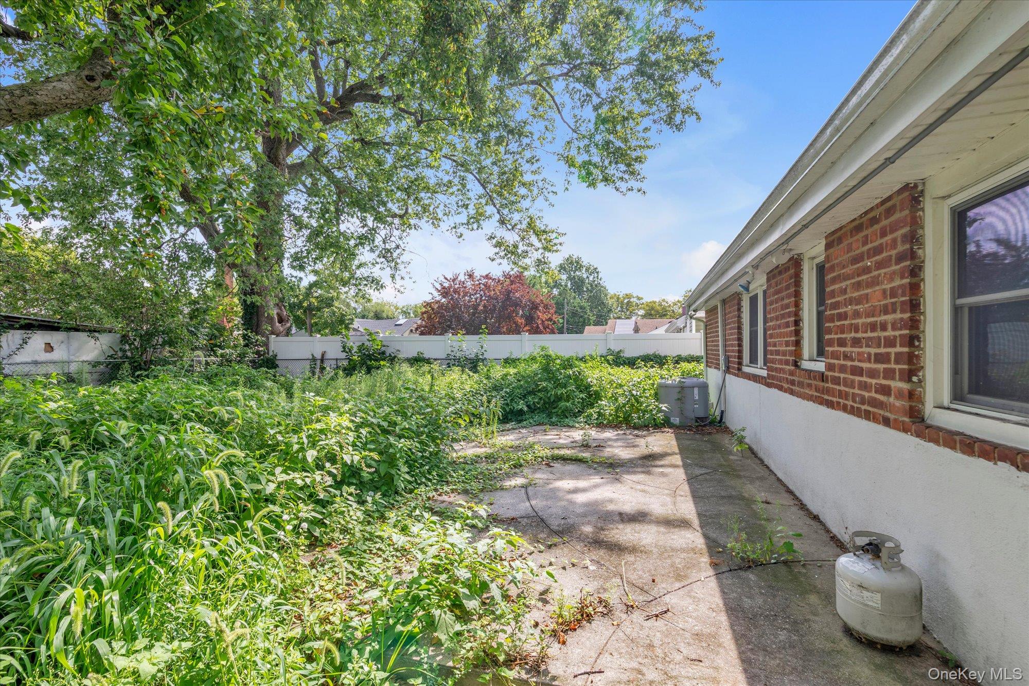 187 Westminster Road Property Photo 16