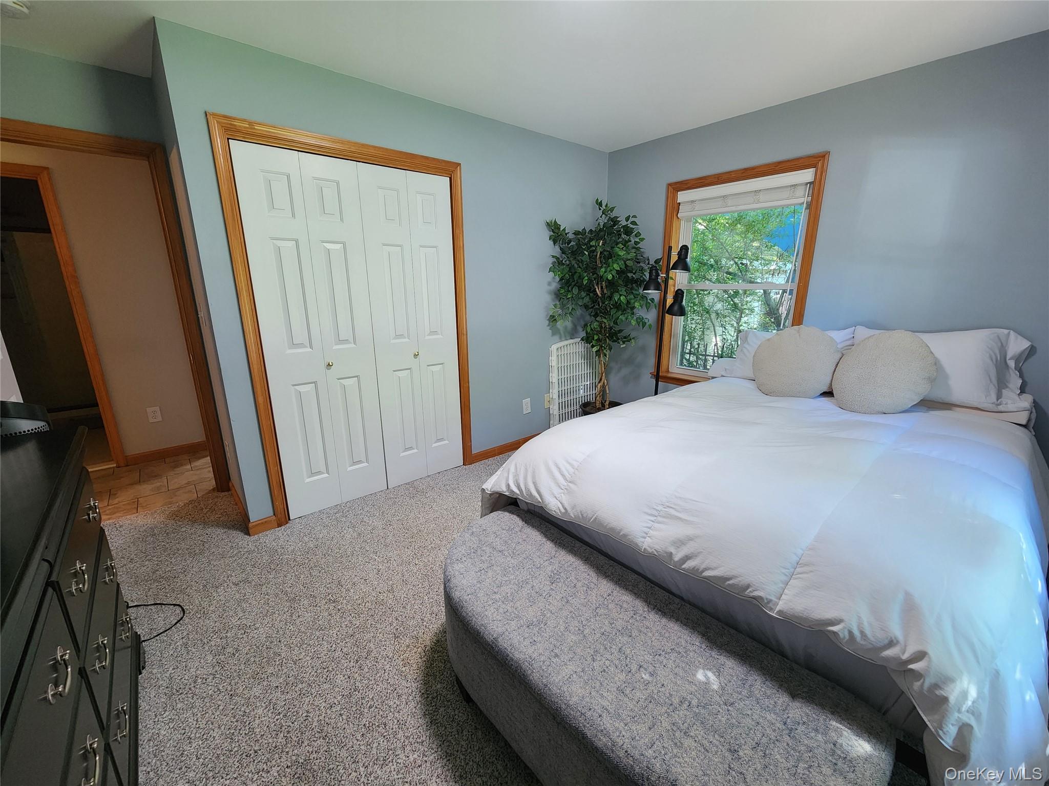 5 John Street Property Photo 20