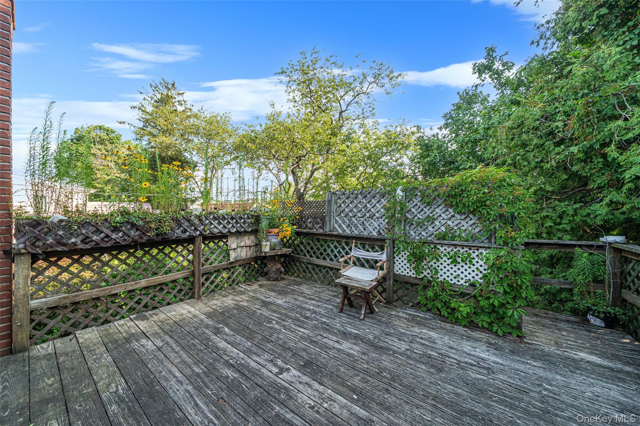 2439 2nd Street Property Photo 9