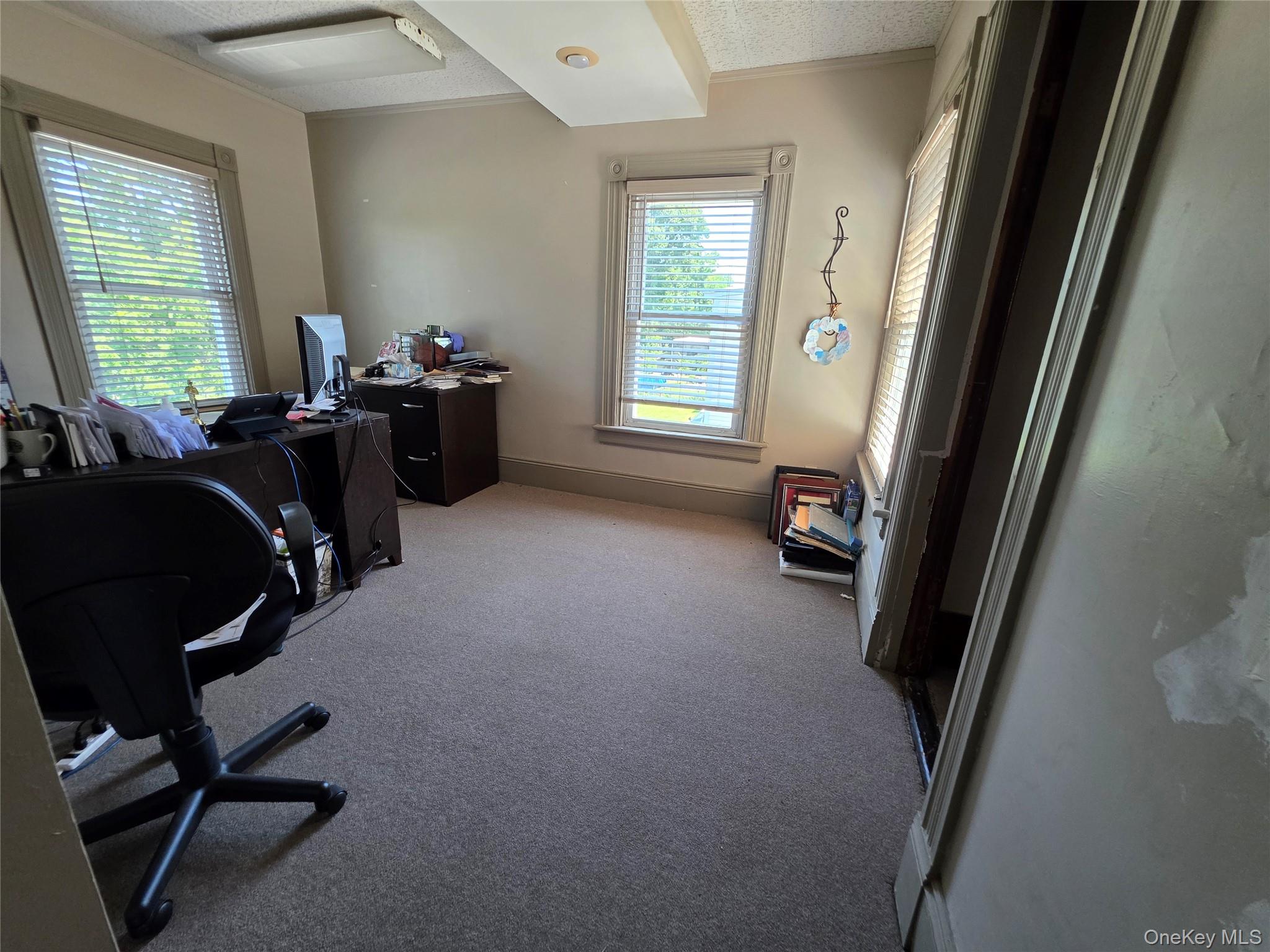 45 Quassaick Avenue Property Photo 19