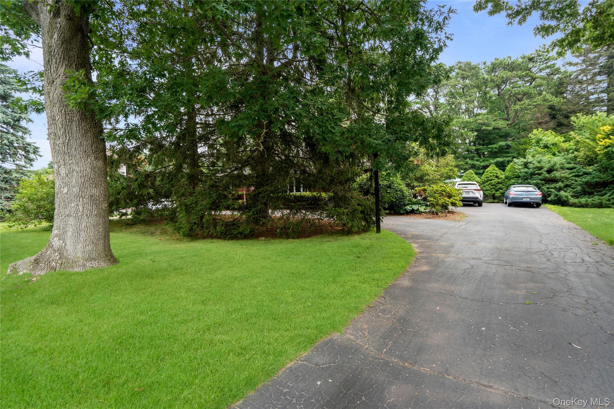 1359 Manor Lane Property Photo 4