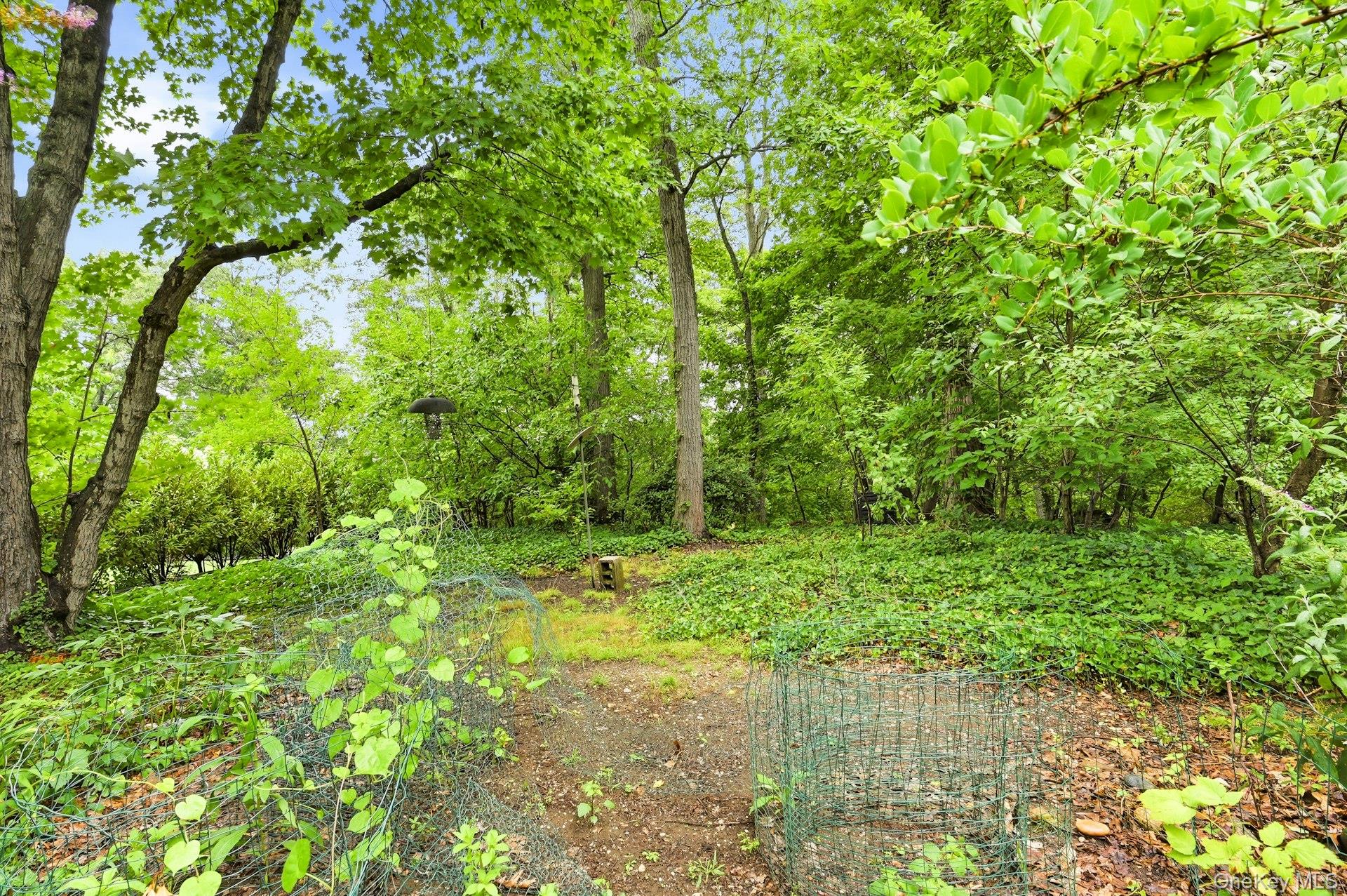 62 Woodhull Place Property Photo 6