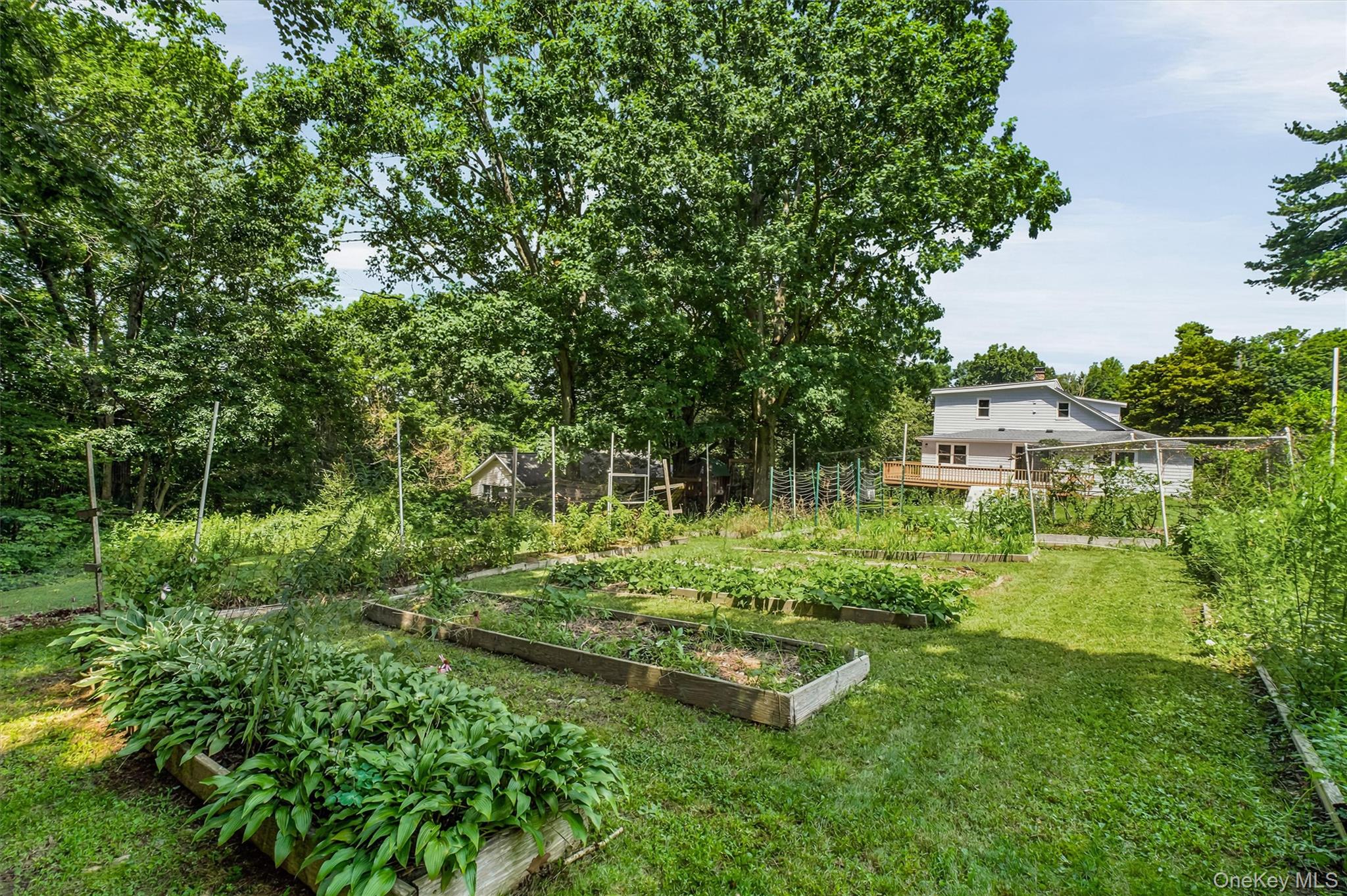 55 Ridge Avenue Property Photo 6