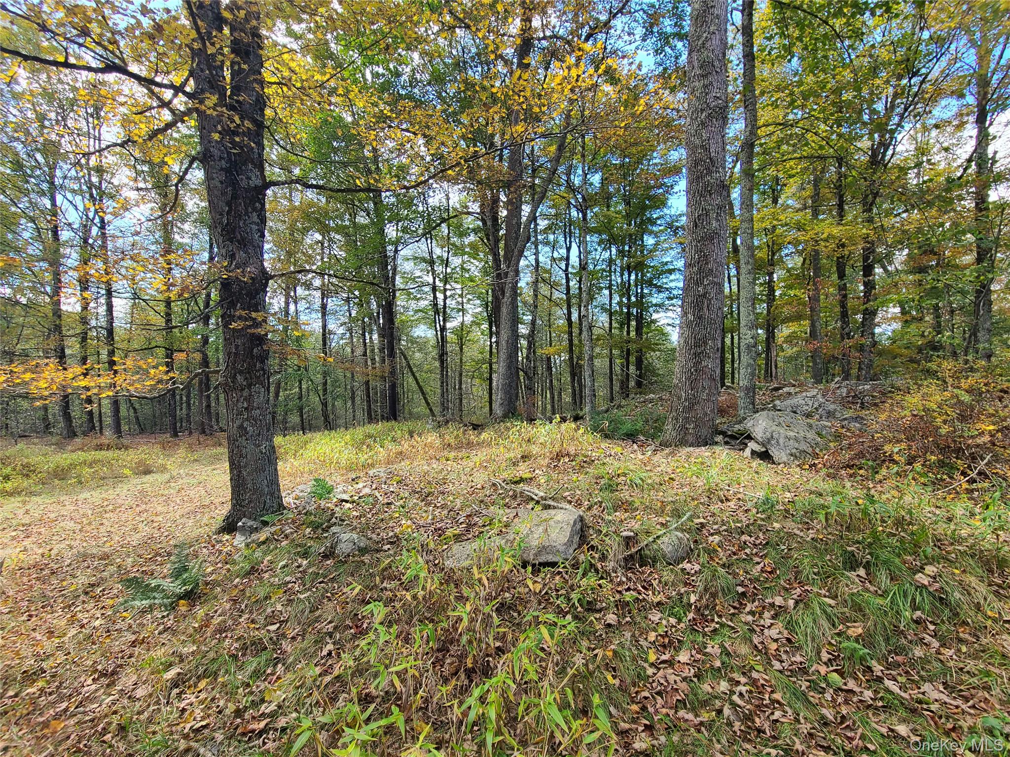 118 Hilltop Road Property Photo 12