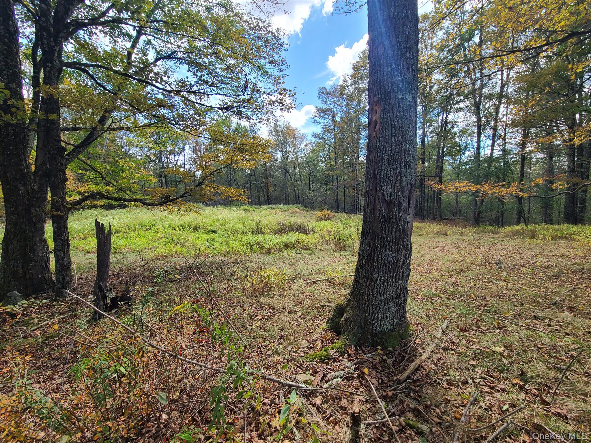 118 Hilltop Road Property Photo 13